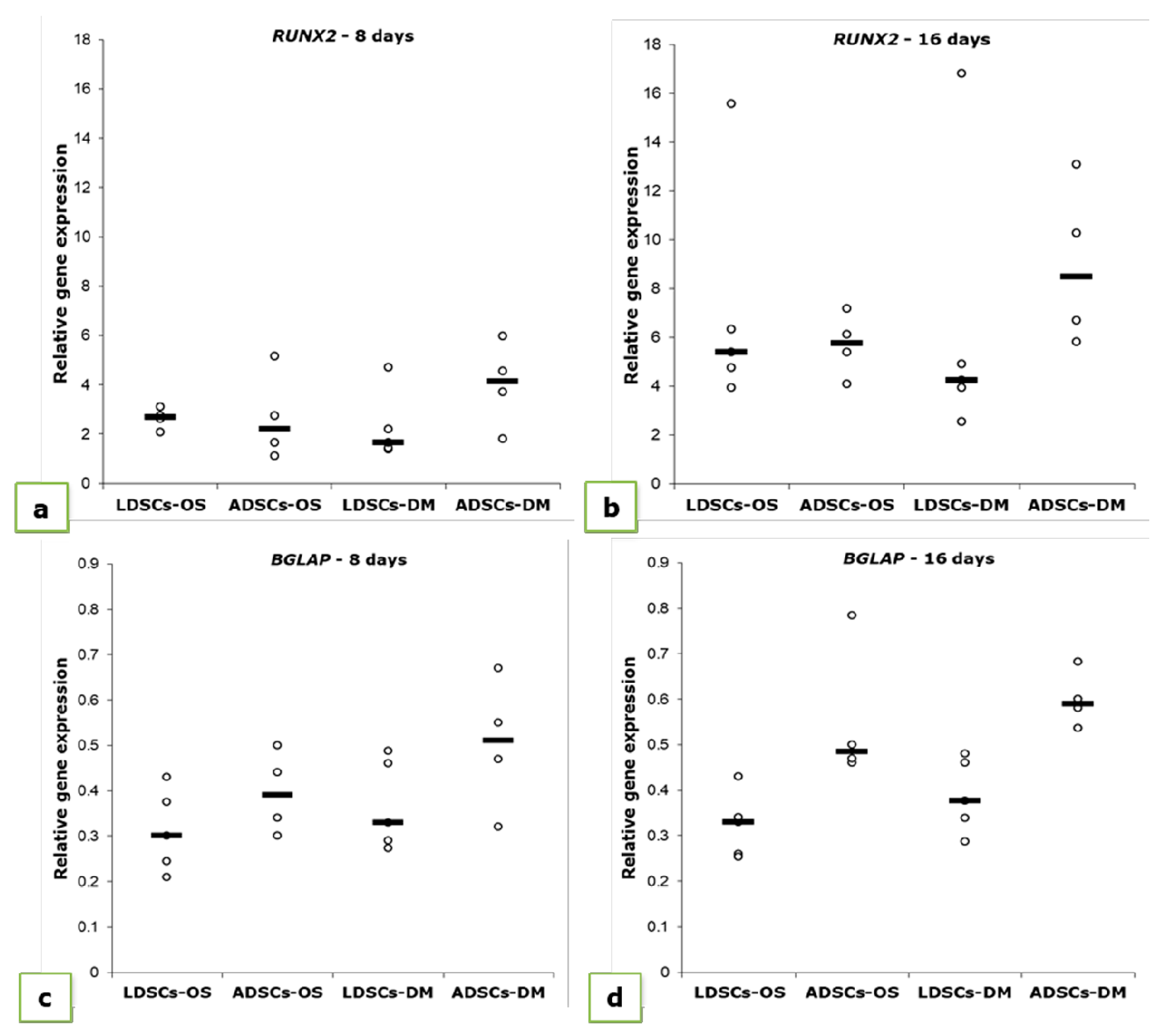 Cells 07 00260 g012 Cells 07 00260 g012