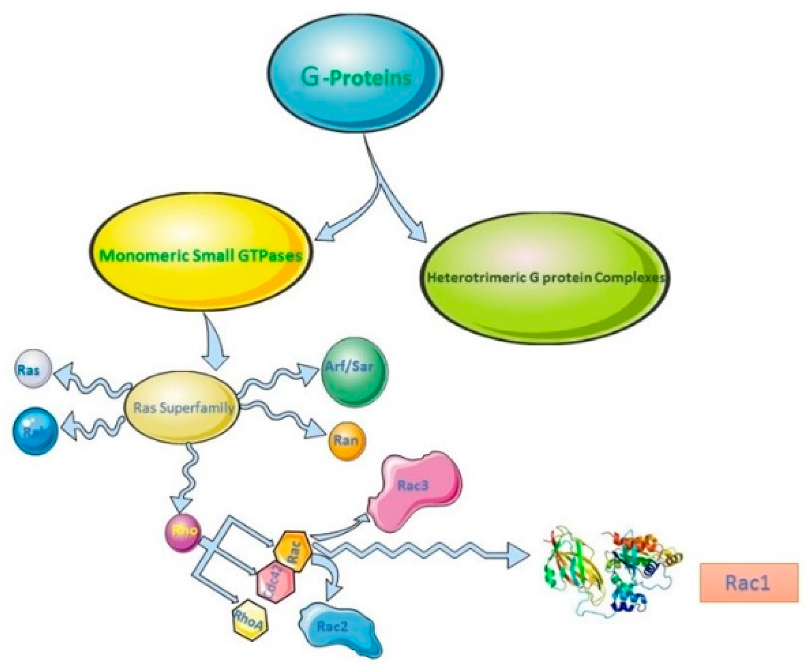 Cells 07 00263 g001 Cells 07 00263 g001