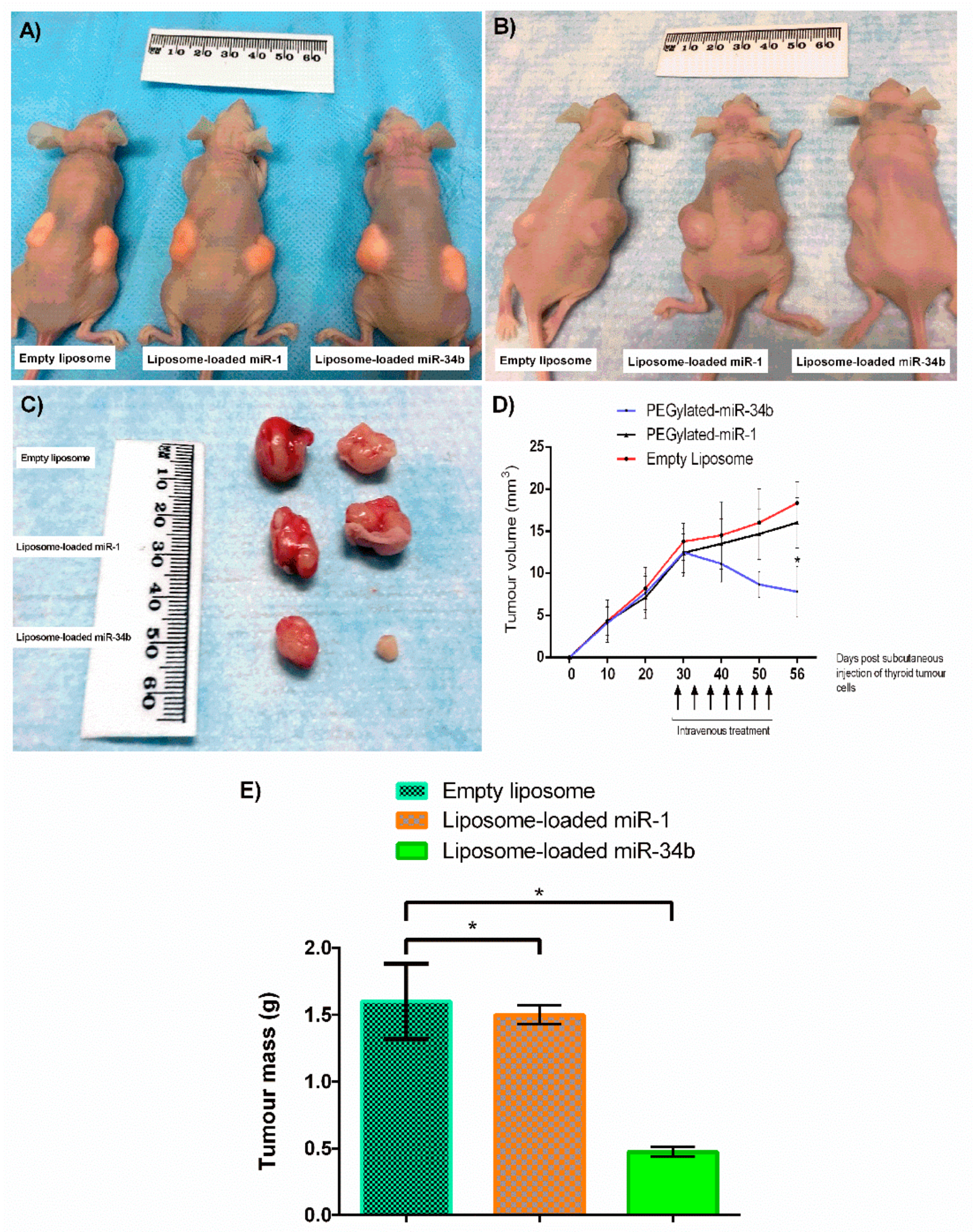 Cells 07 00265 g005 Cells 07 00265 g005