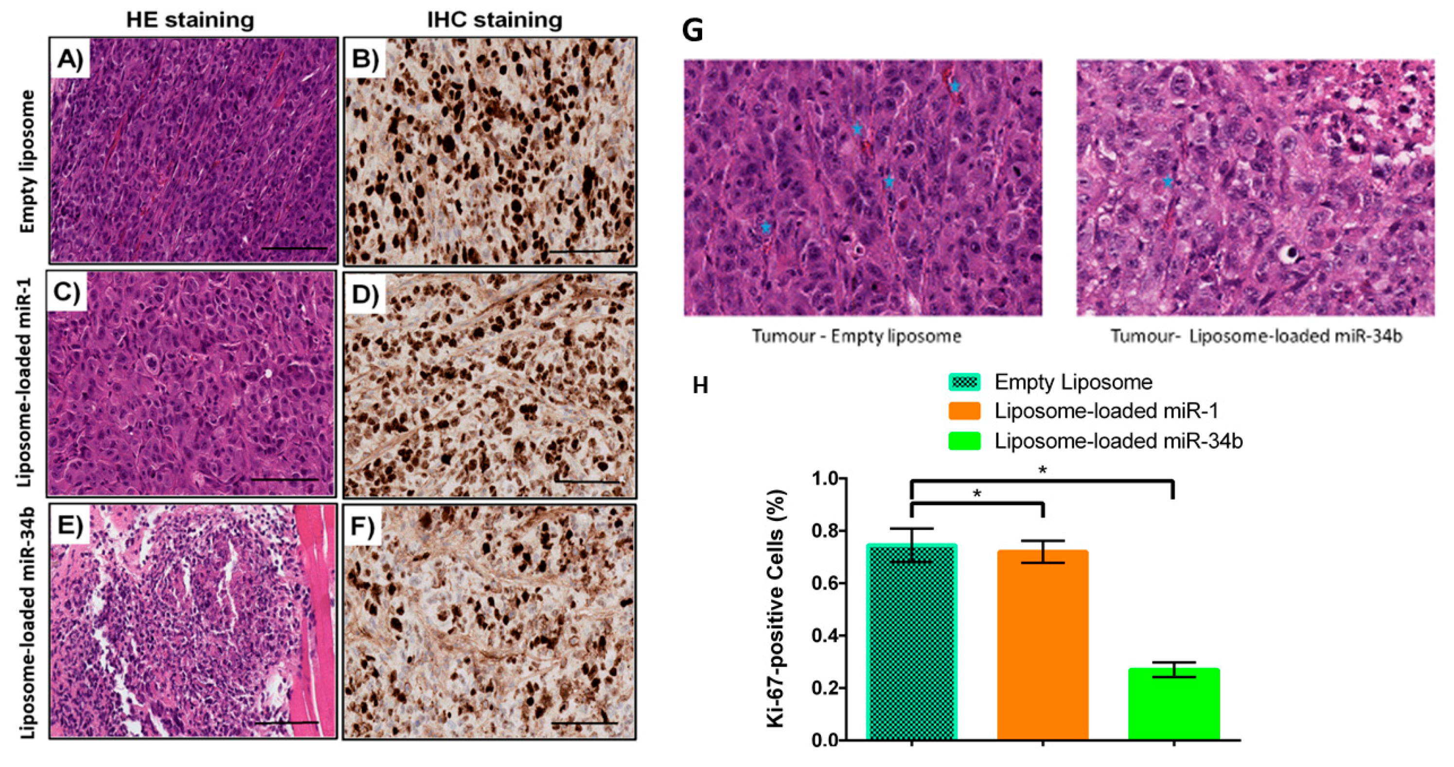 Cells 07 00265 g006 Cells 07 00265 g006
