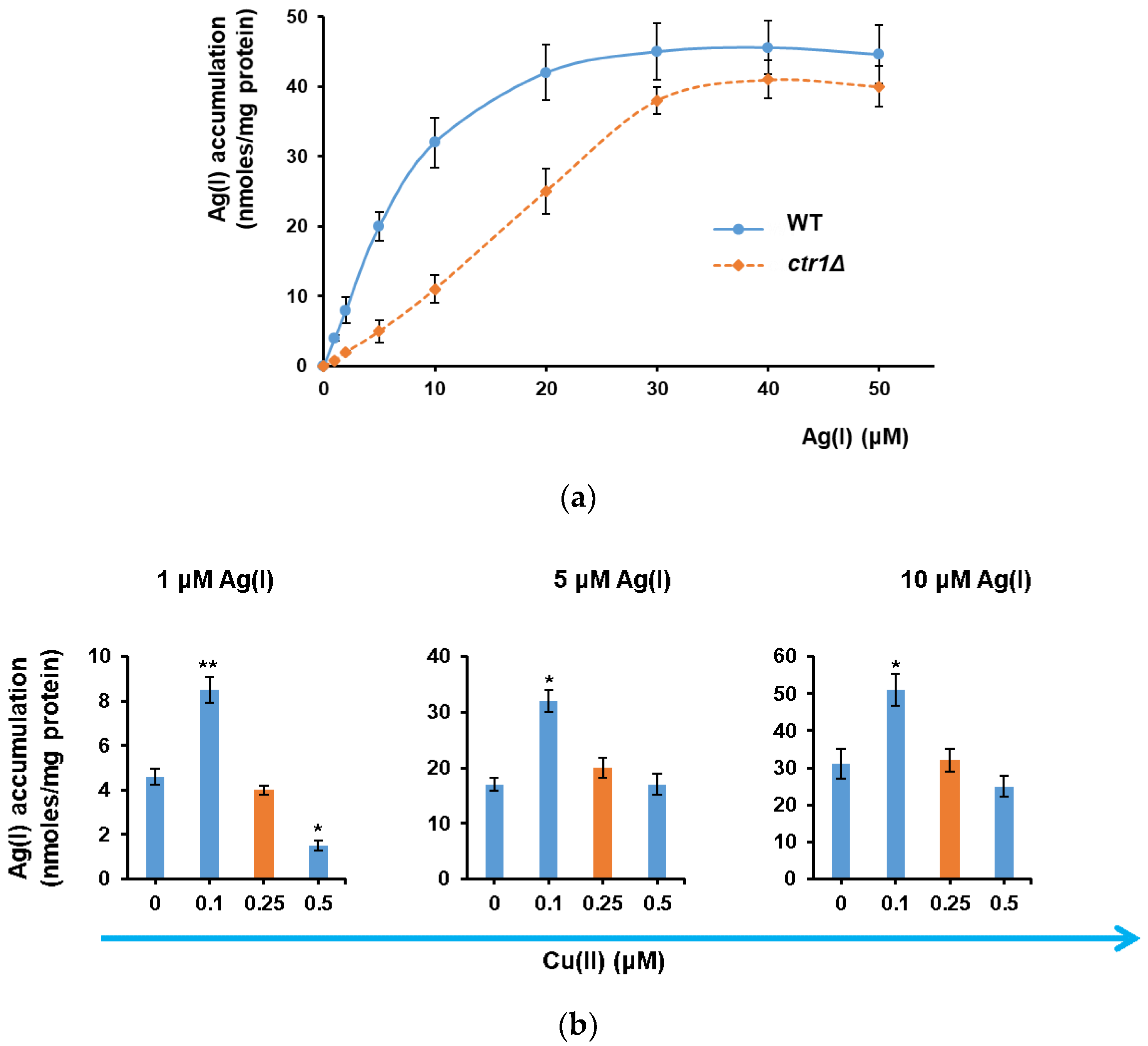 Cells 07 00266 g002 Cells 07 00266 g002