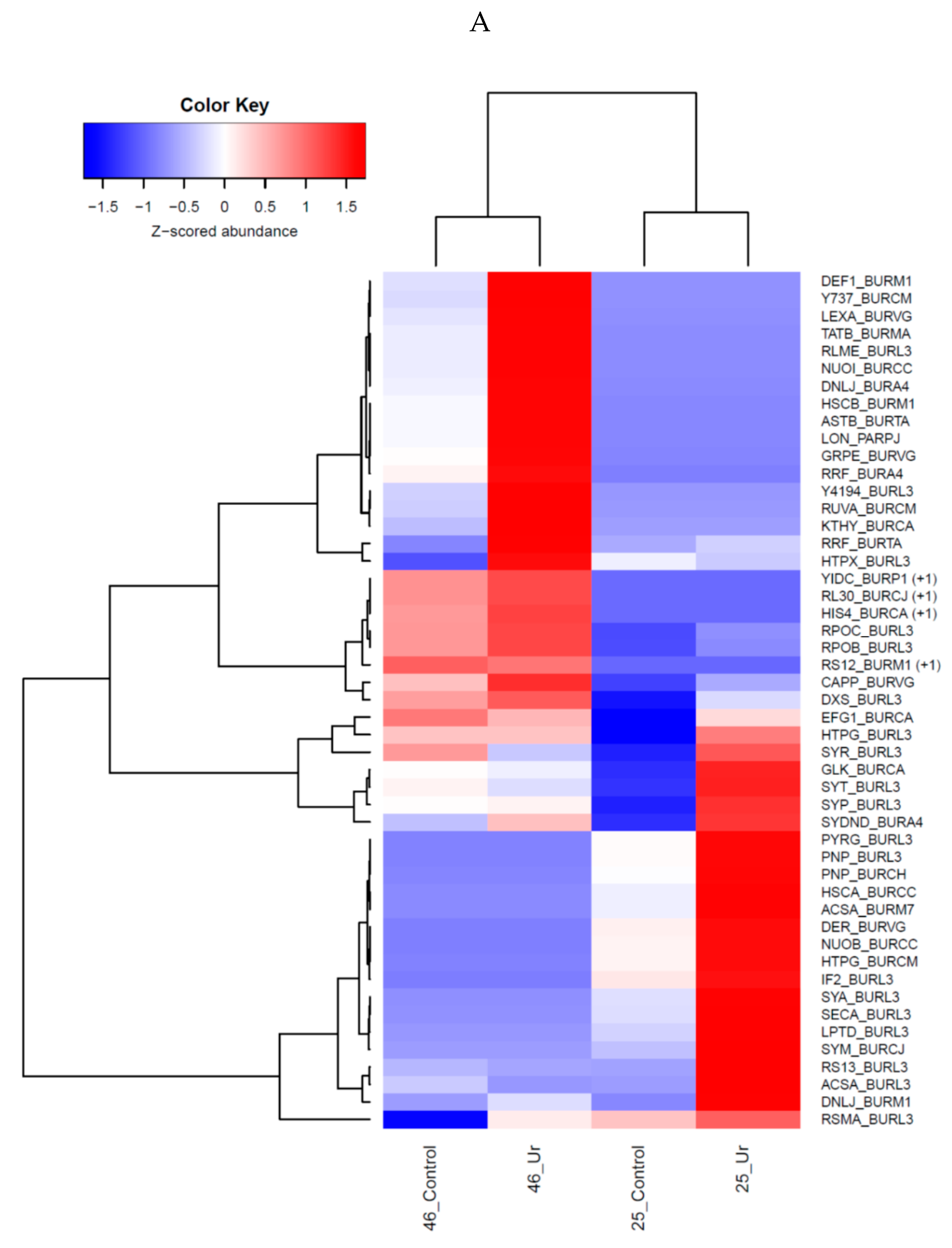 Cells 07 00269 g007a