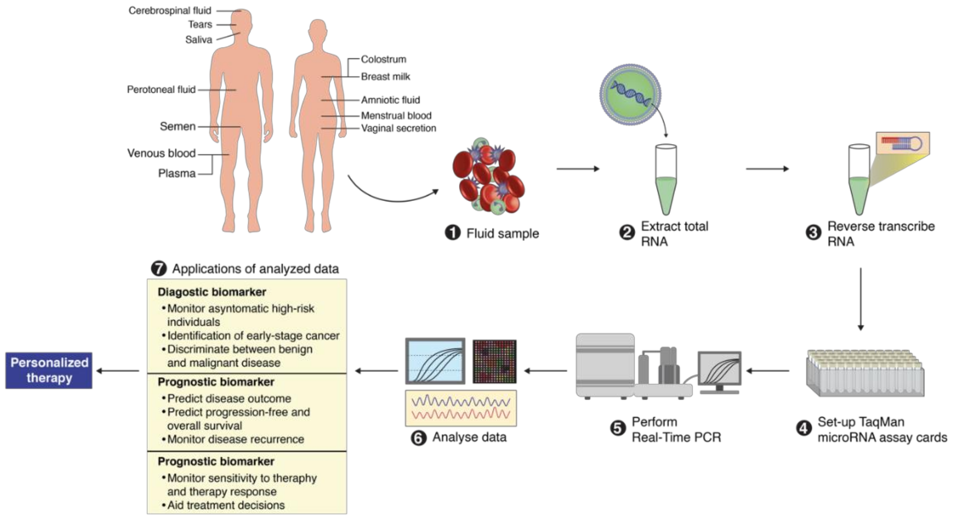 Cells 07 00271 g002 Cells 07 00271 g002