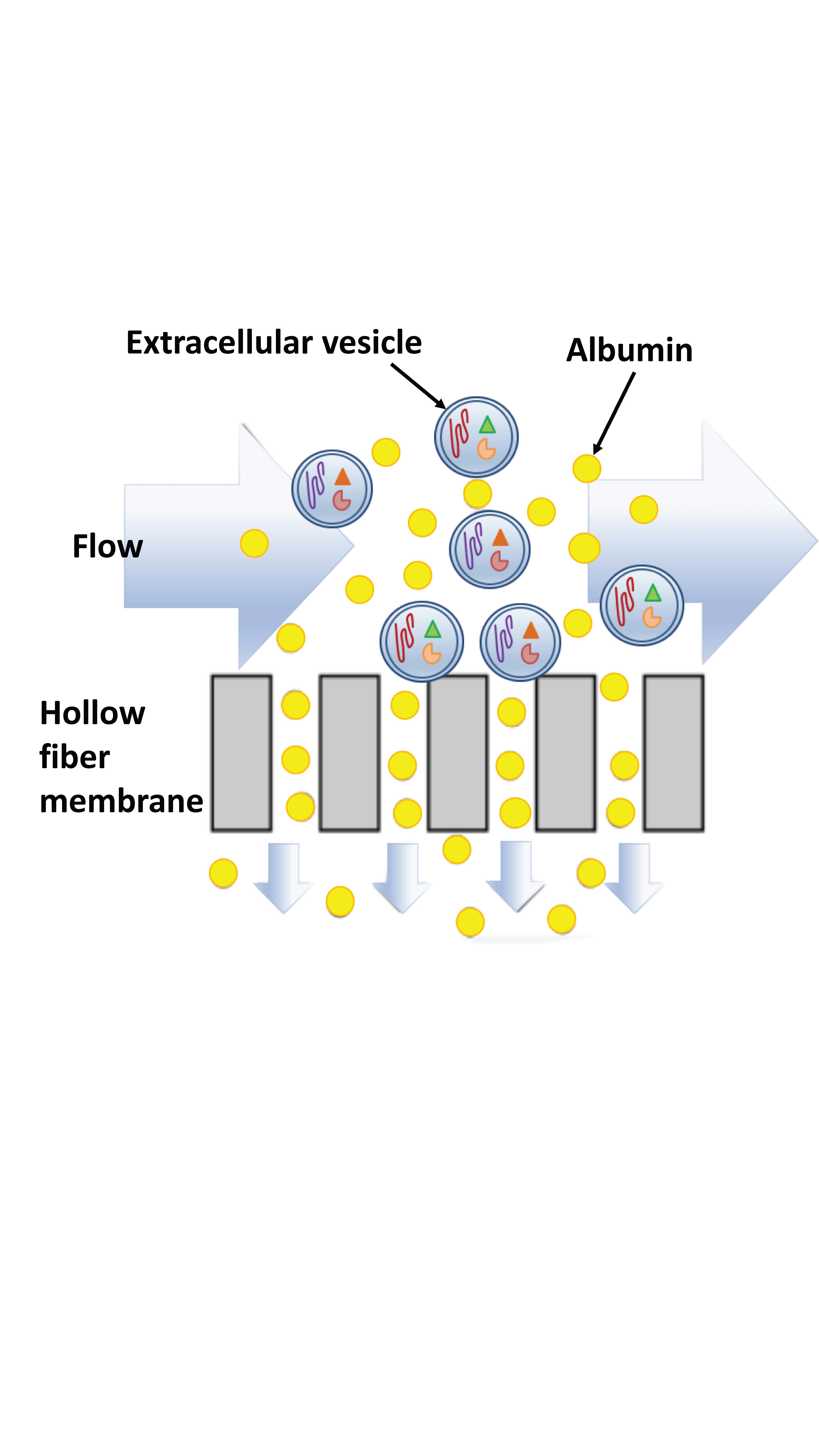 cells free full text tangential flow filtration for highly tangential flow filtration