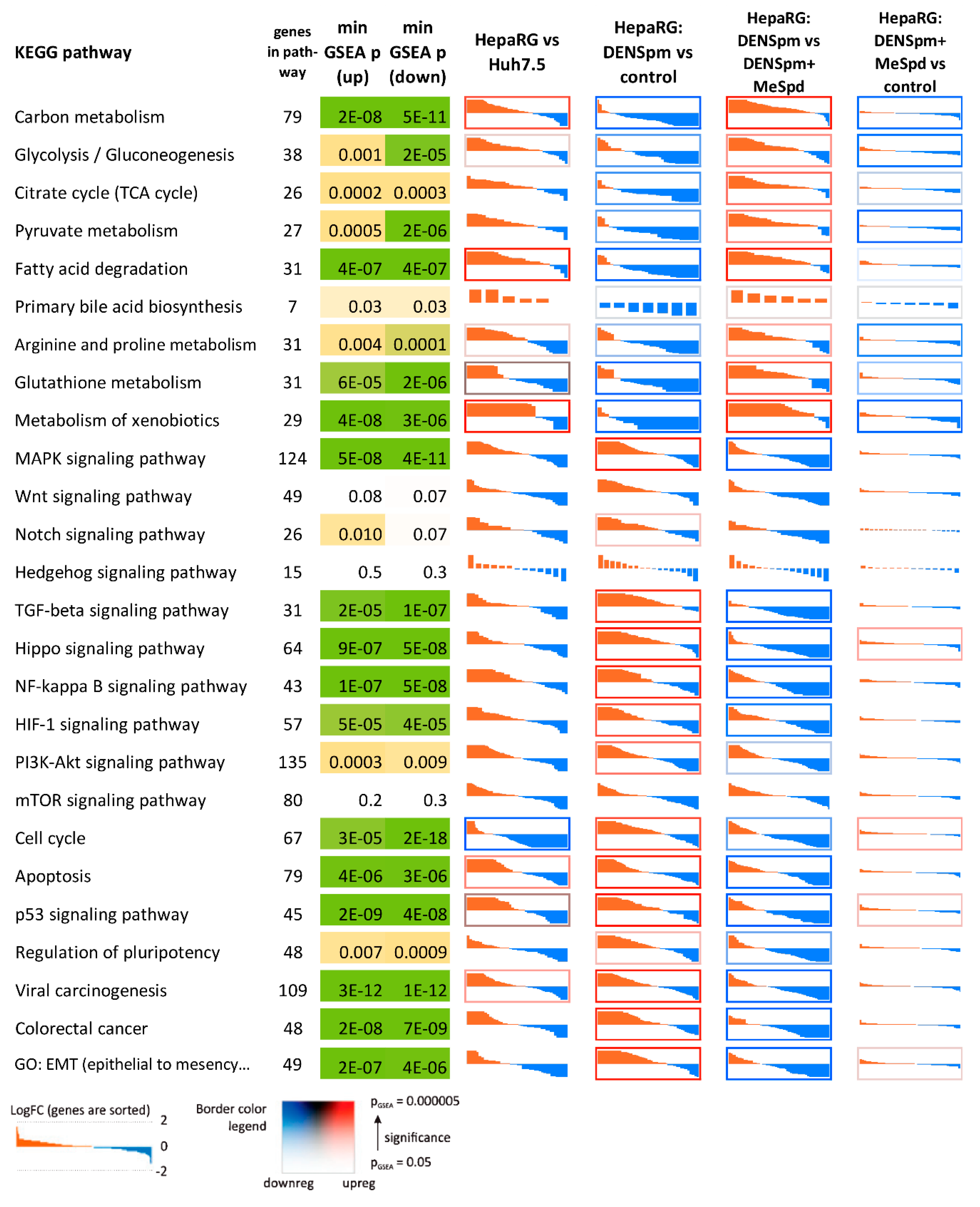Cells 07 00275 g007 Cells 07 00275 g007