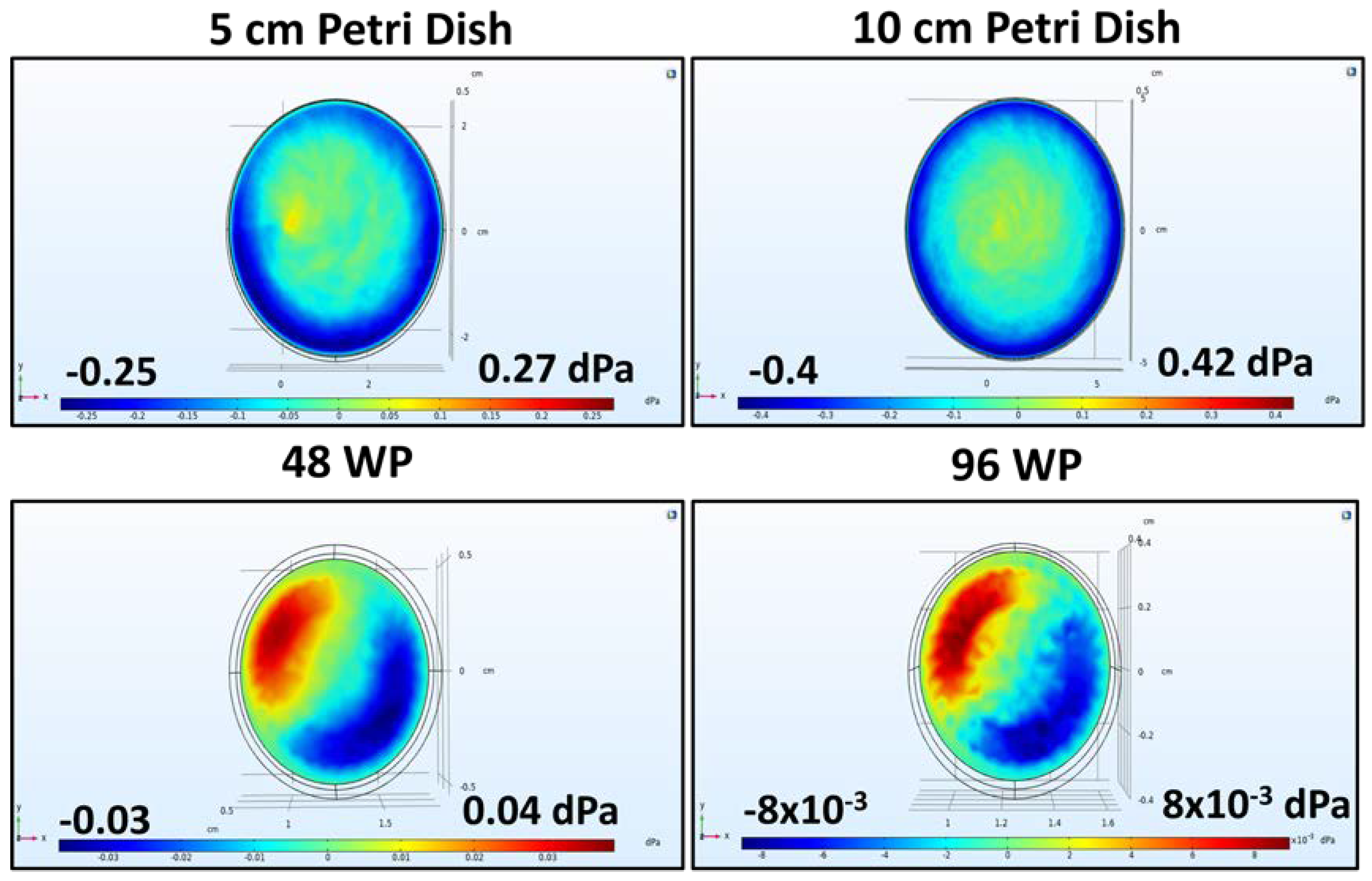 Cells 07 00277 g002b