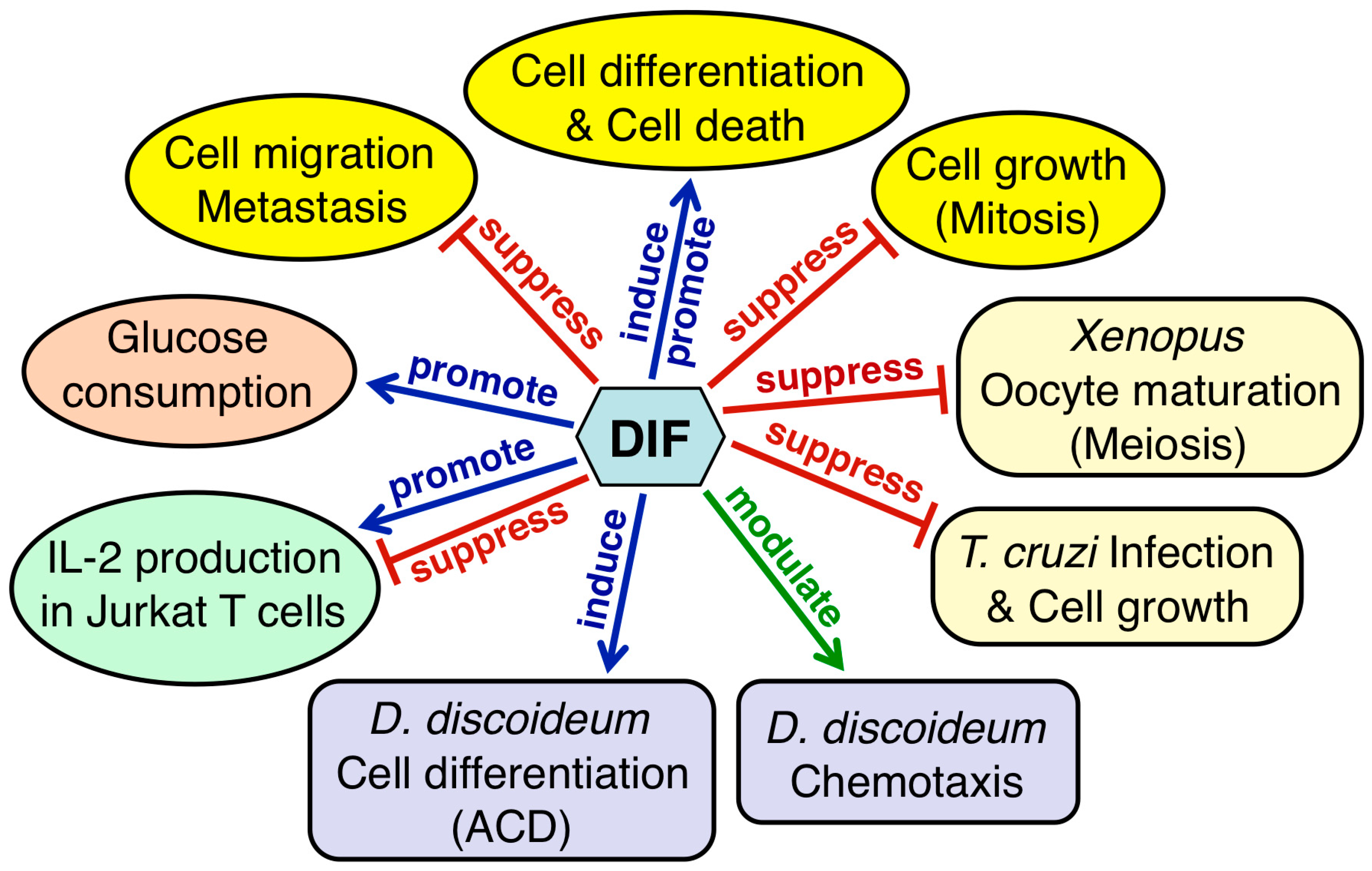 Cells 08 00006 g009 Cells 08 00006 g009