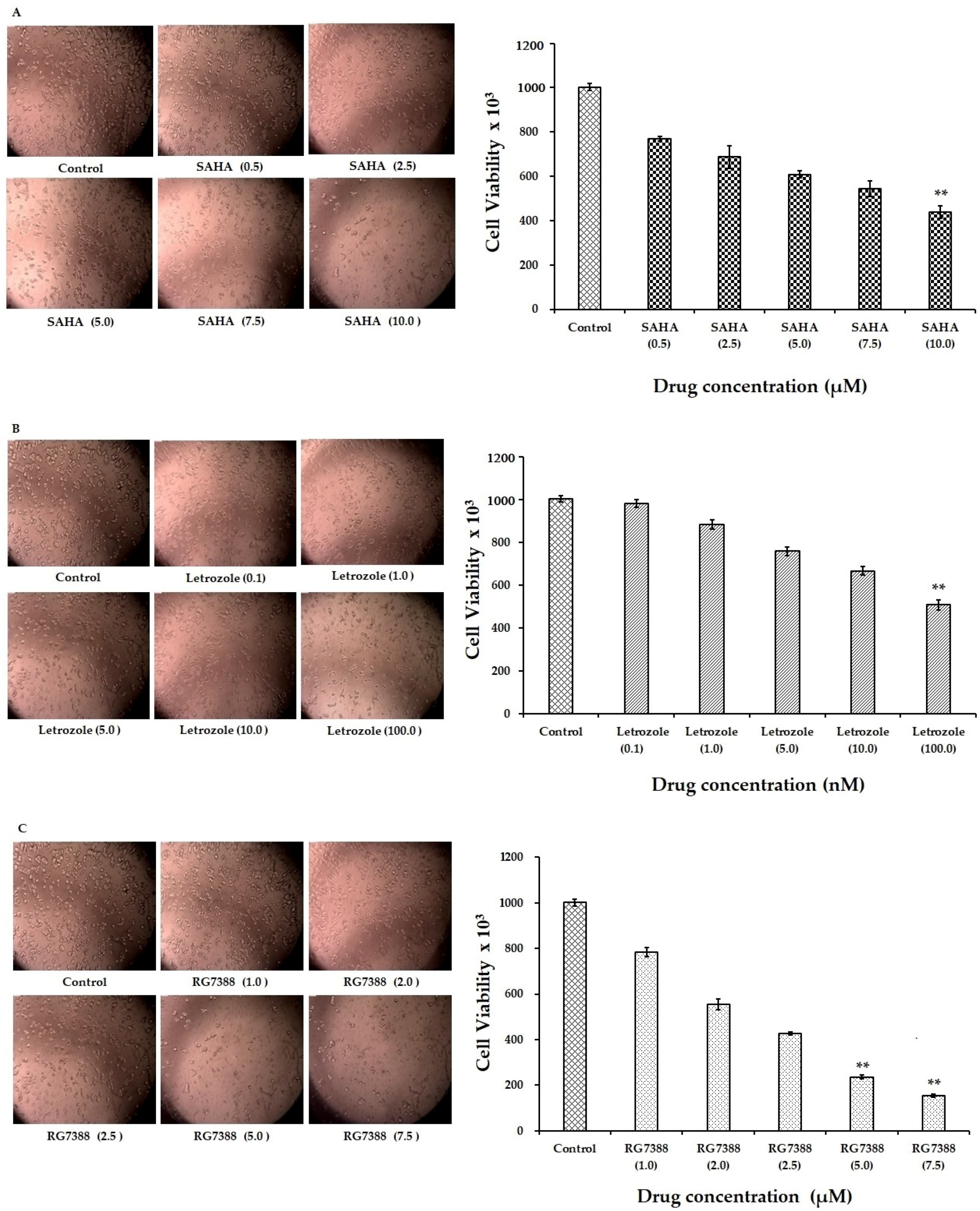 Cells 08 00008 g001a