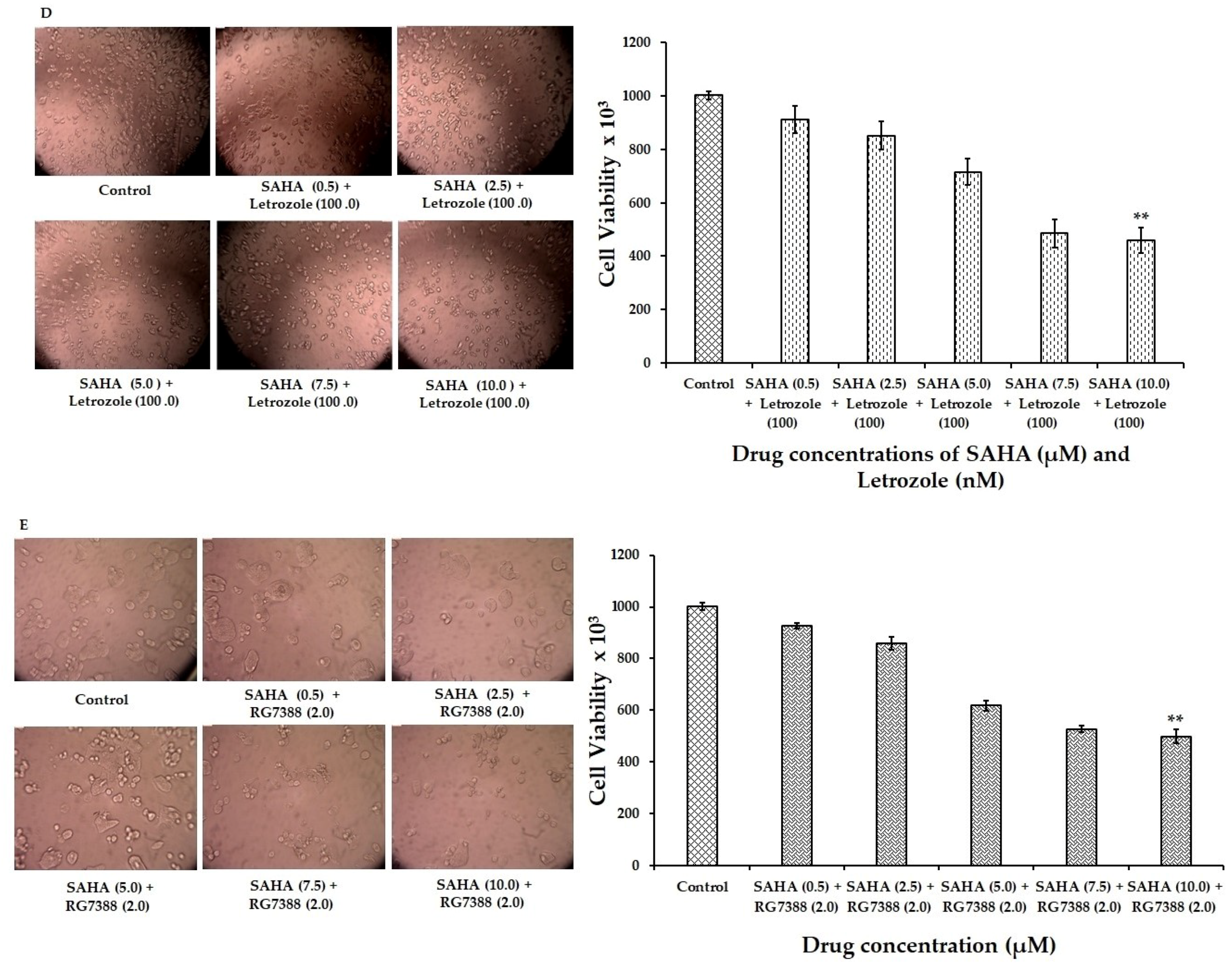 Cells 08 00008 g001b