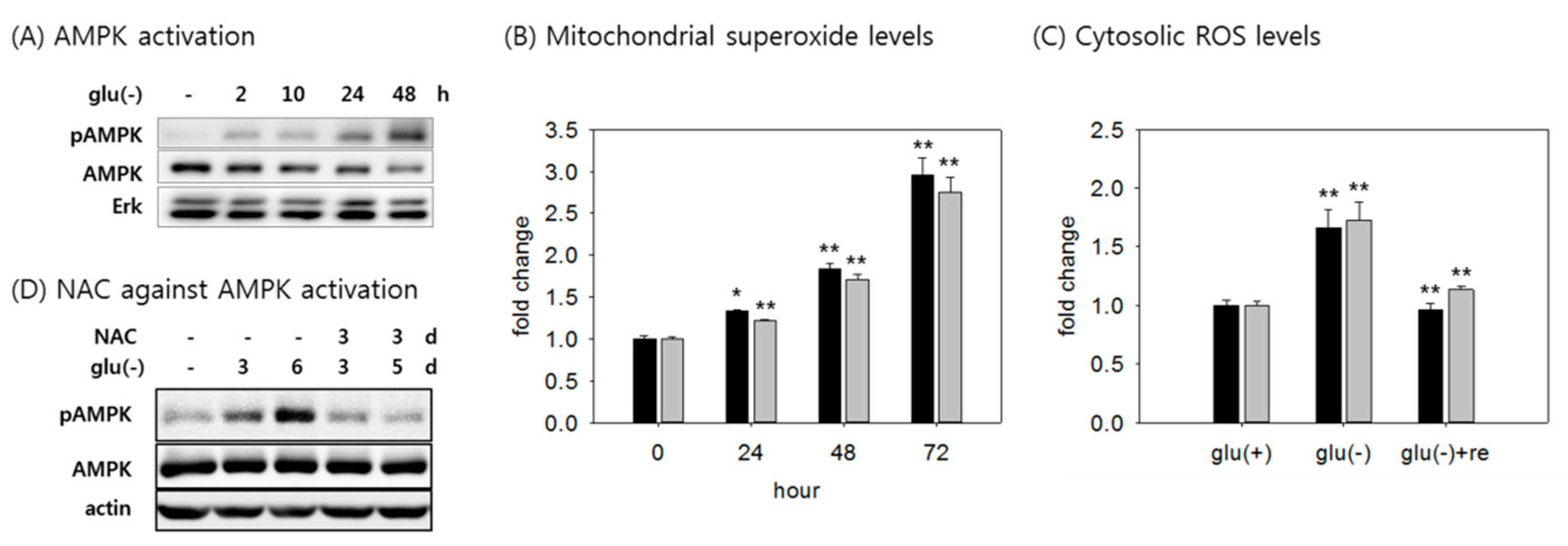 Cells 08 00011 g002 Cells 08 00011 g002