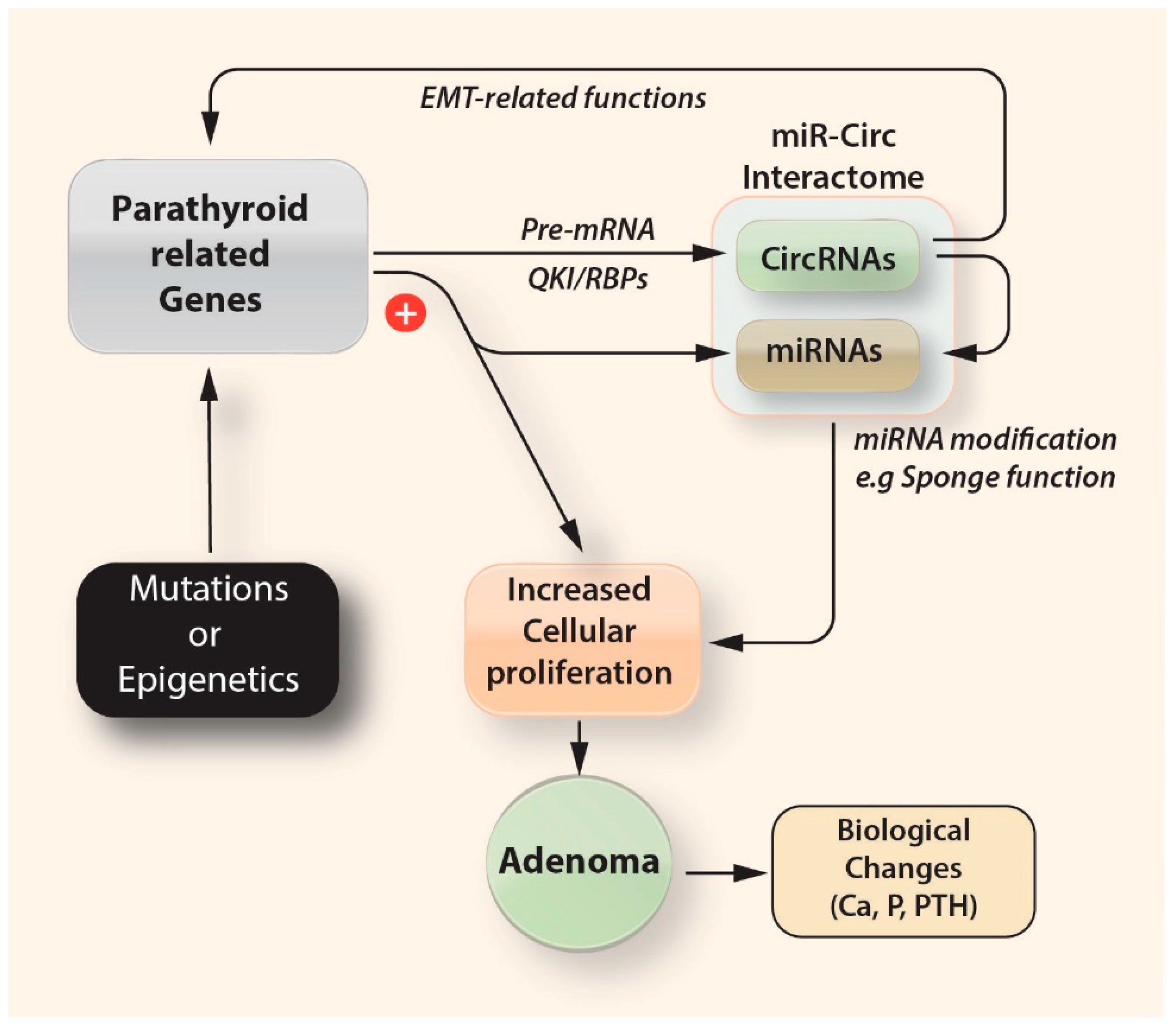 Cells 08 00015 g005 Cells 08 00015 g005
