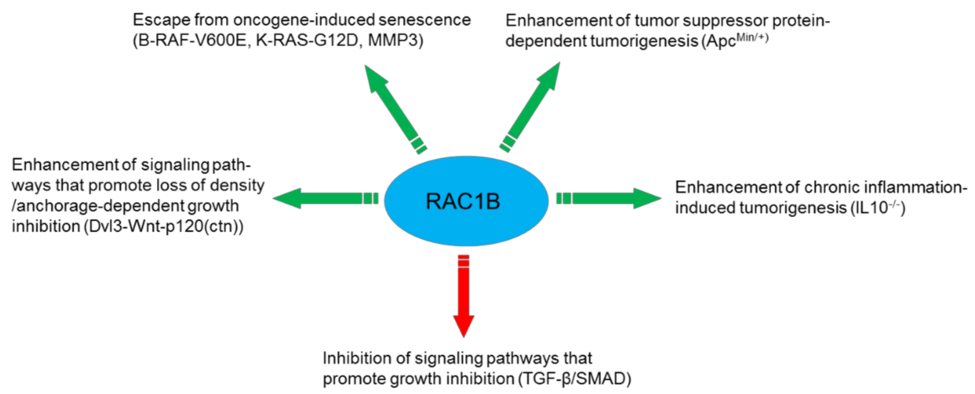 Cells 08 00021 g001 Cells 08 00021 g001