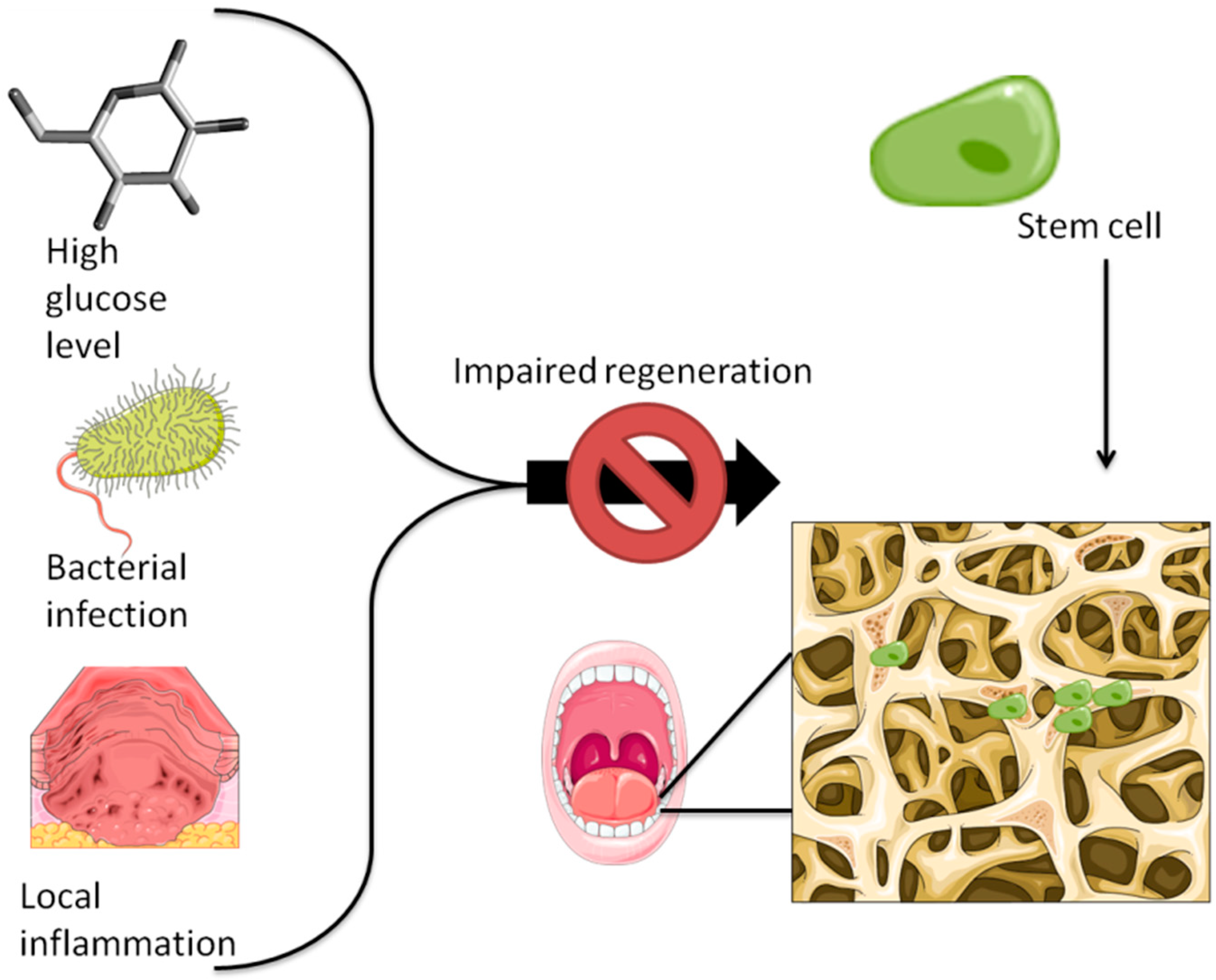 Cells 08 00029 g003 Cells 08 00029 g003