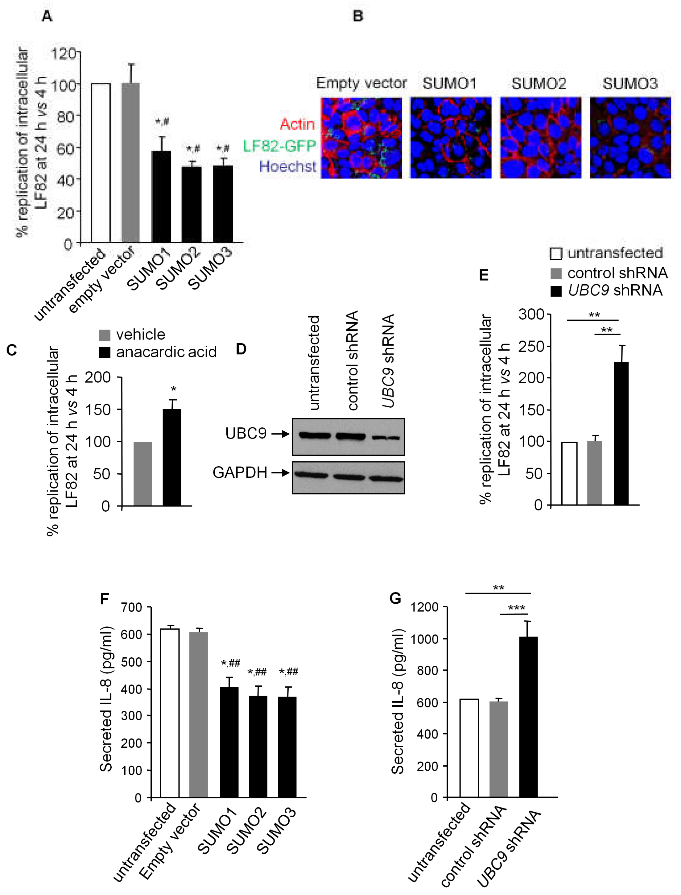 Cells 08 00035 g002 Cells 08 00035 g002