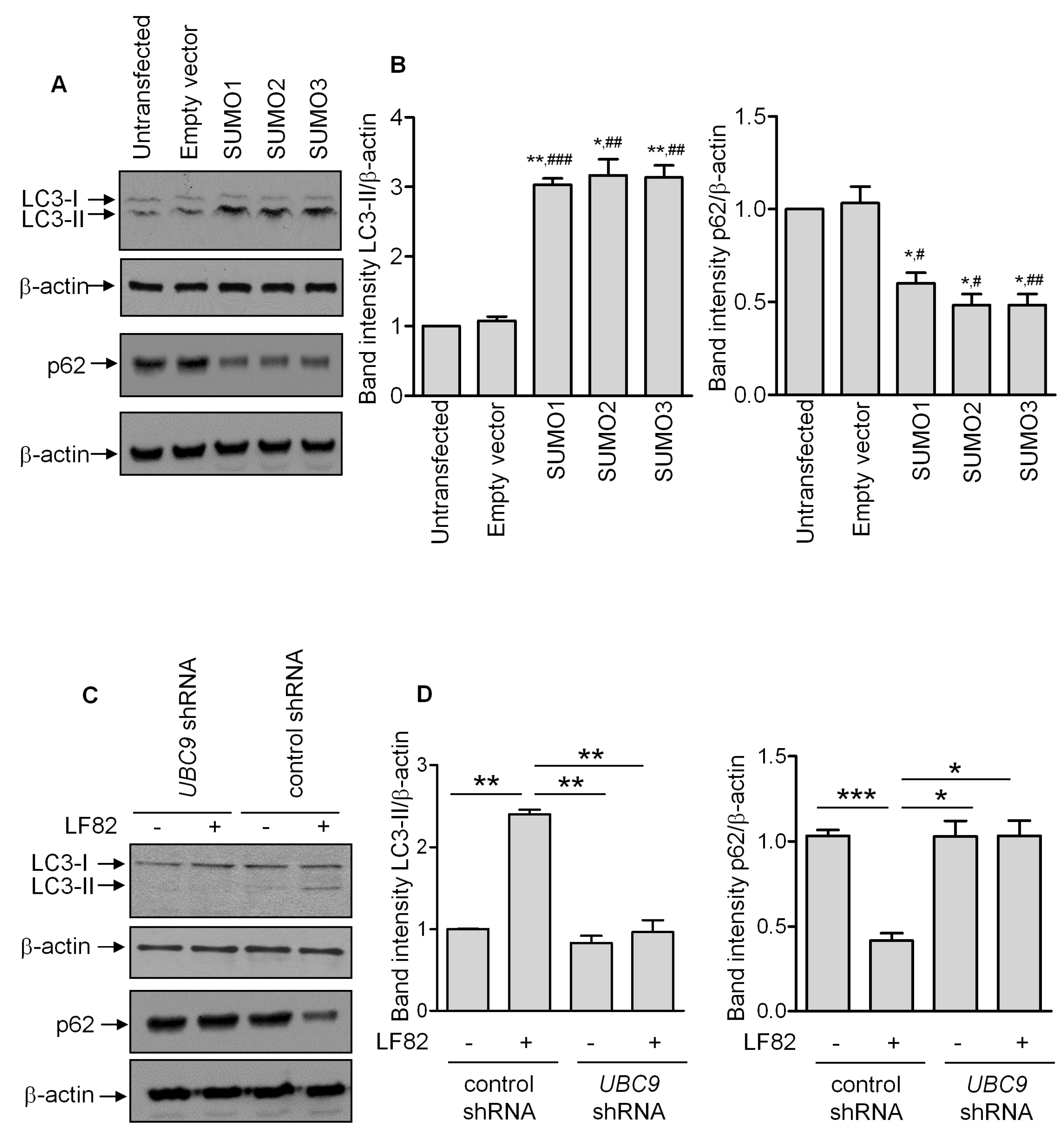 Cells 08 00035 g003 Cells 08 00035 g003