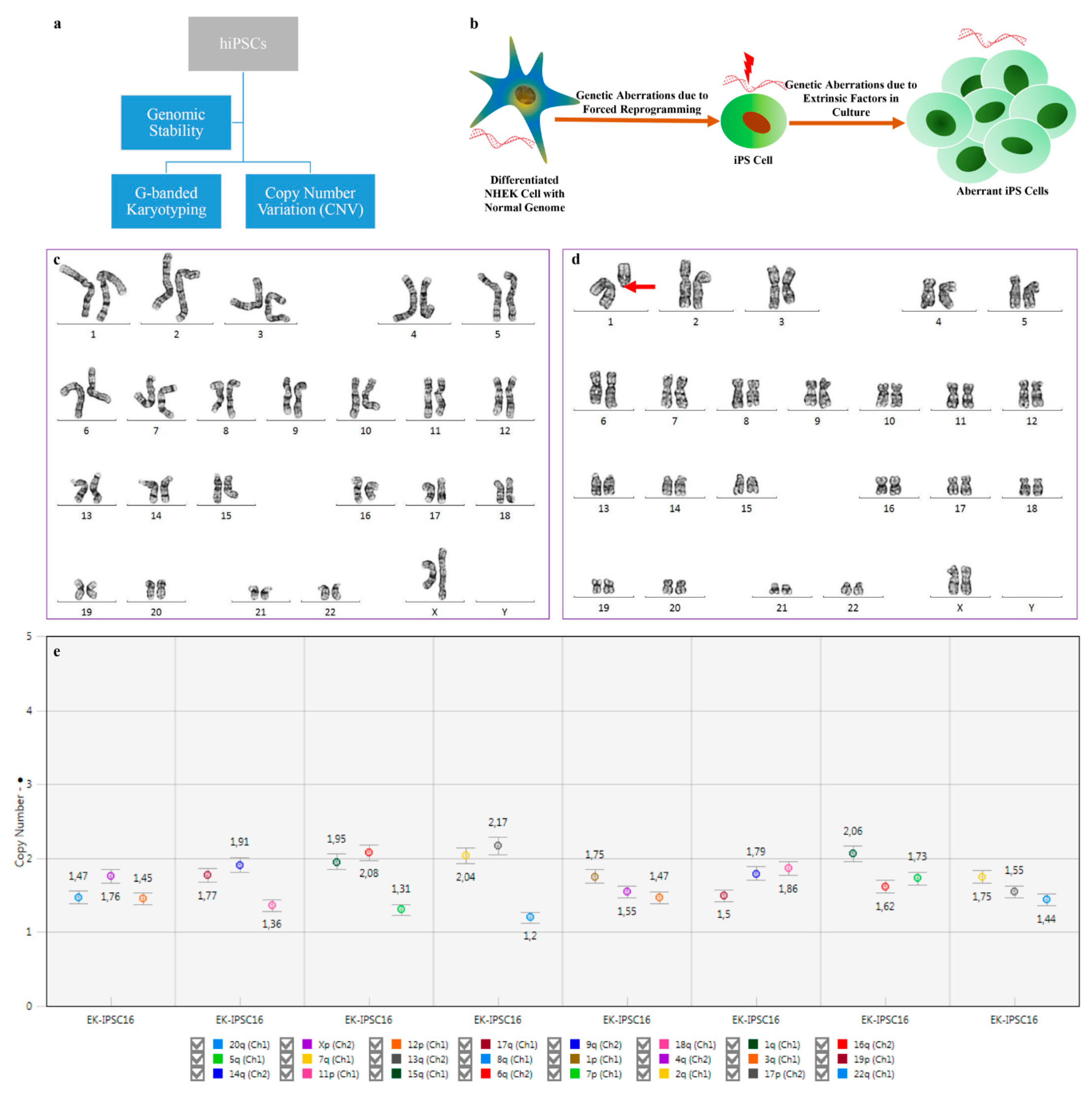 Cells 08 00036 g002
