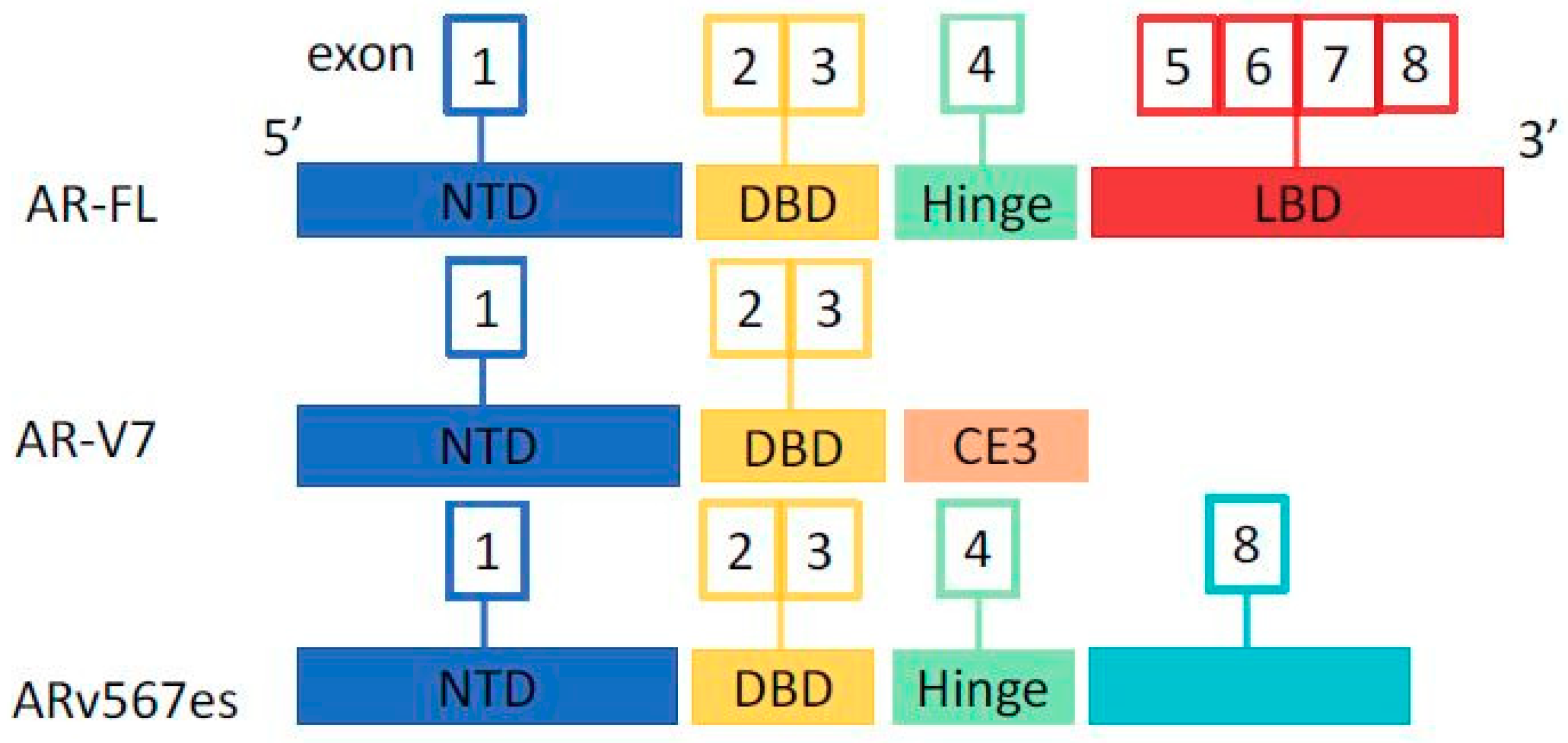 Cells 08 00043 g001 Cells 08 00043 g001