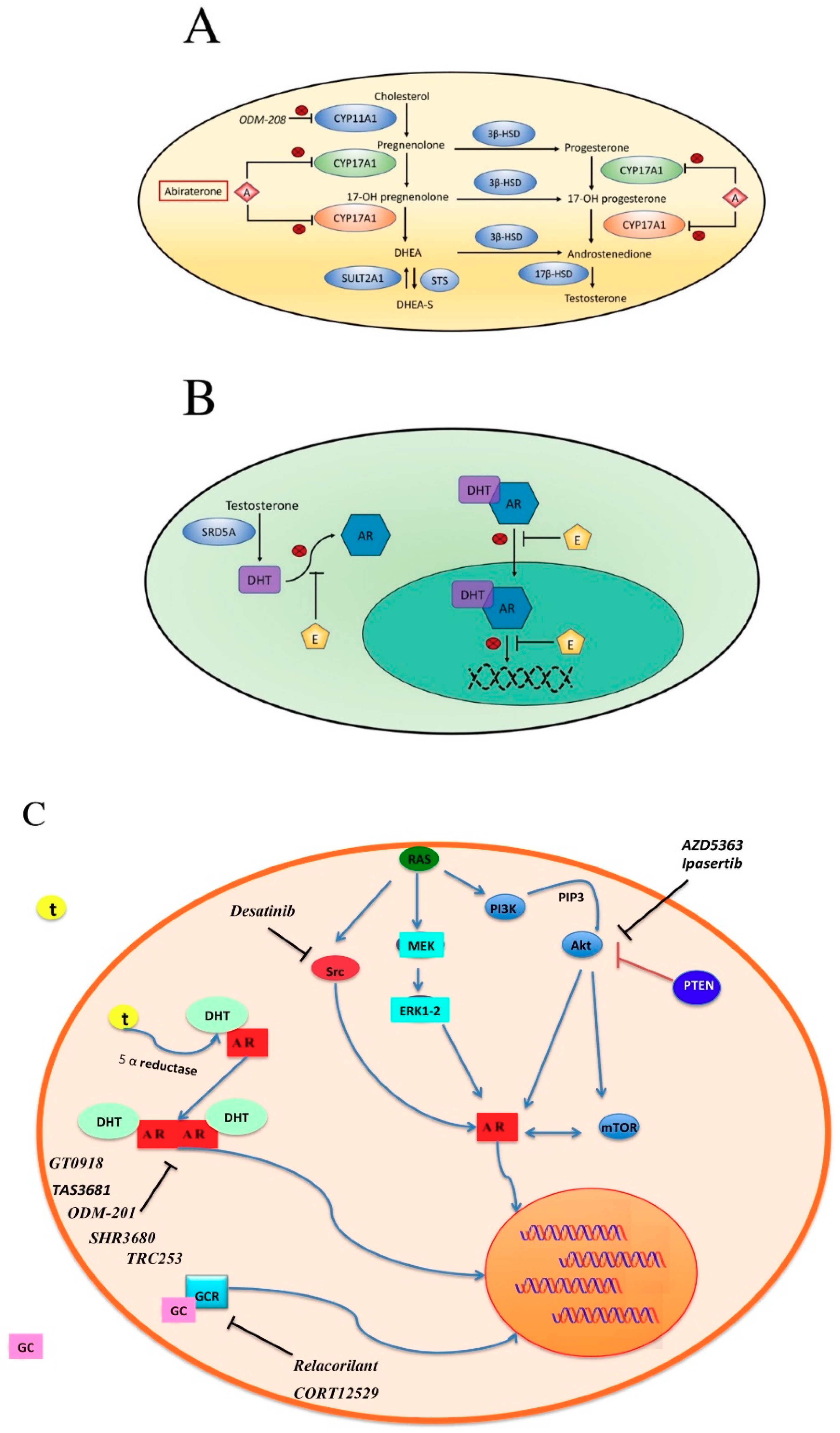 Cells 08 00043 g002a Cells 08 00043 g002a