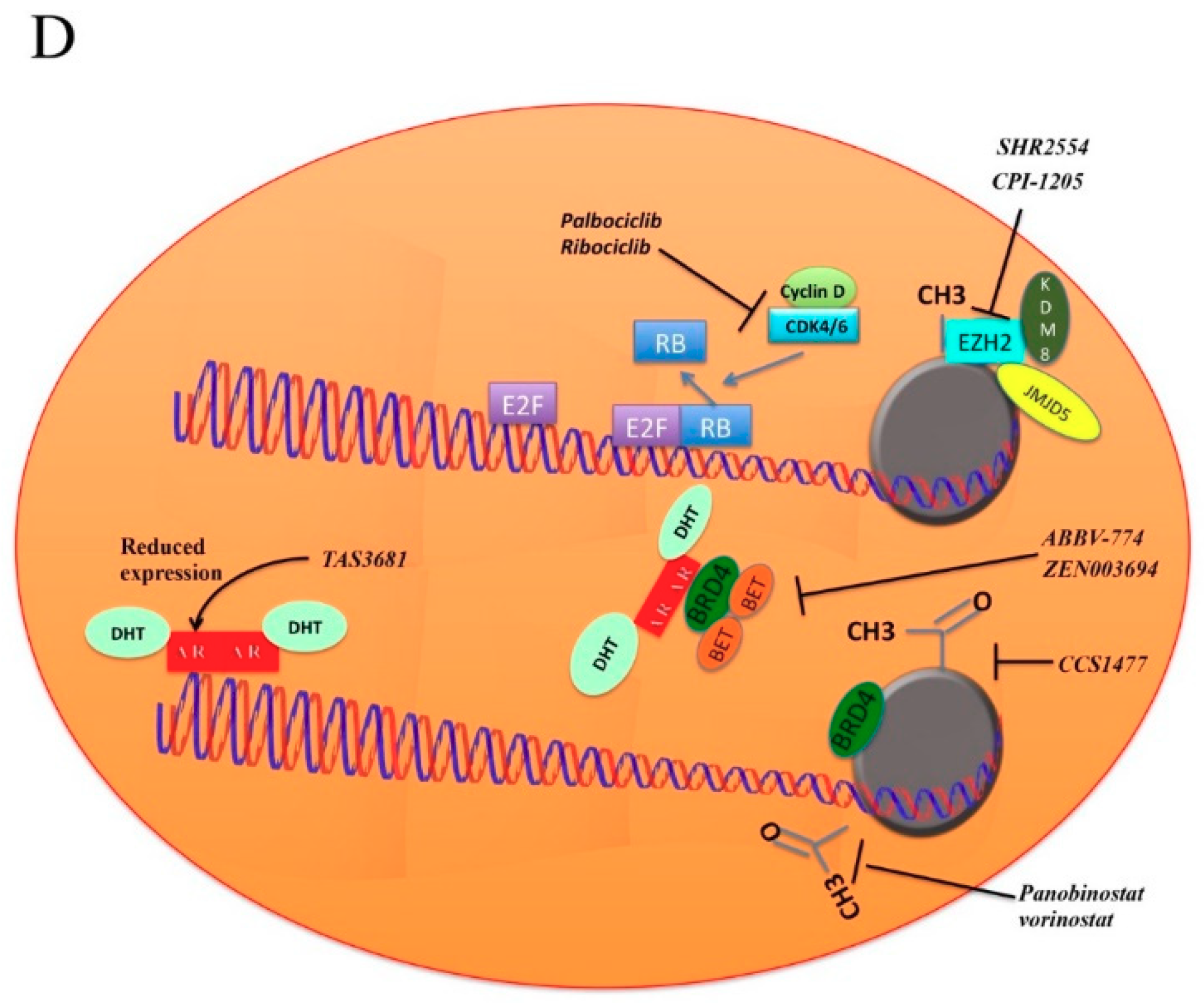 Cells 08 00043 g002b Cells 08 00043 g002b