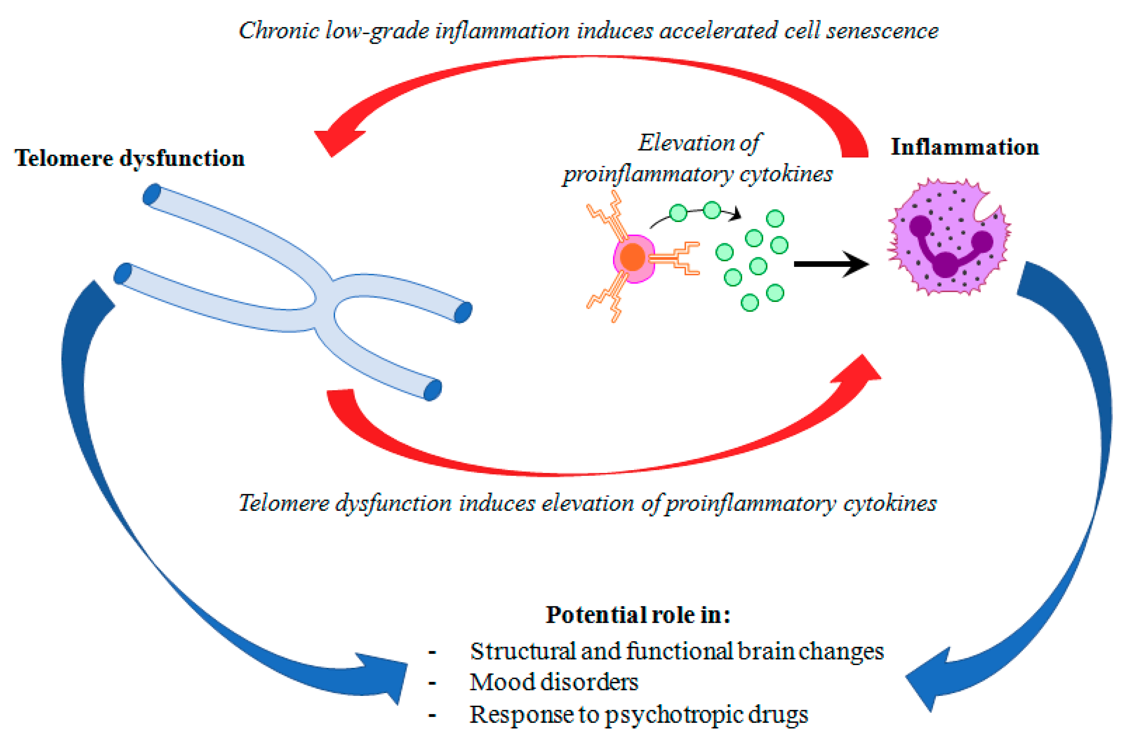 Cells 08 00052 g001 Cells 08 00052 g001
