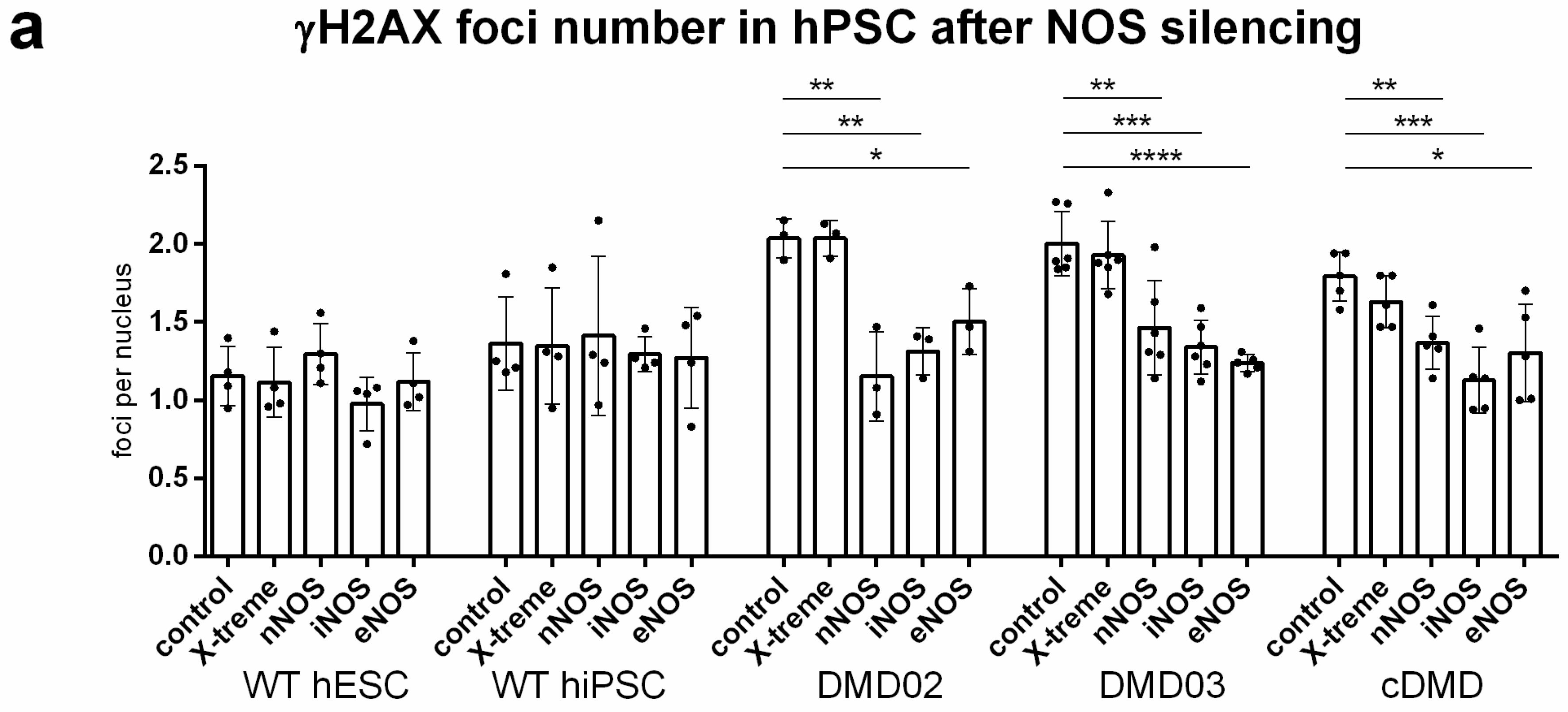 Cells 08 00053 g006a Cells 08 00053 g006a