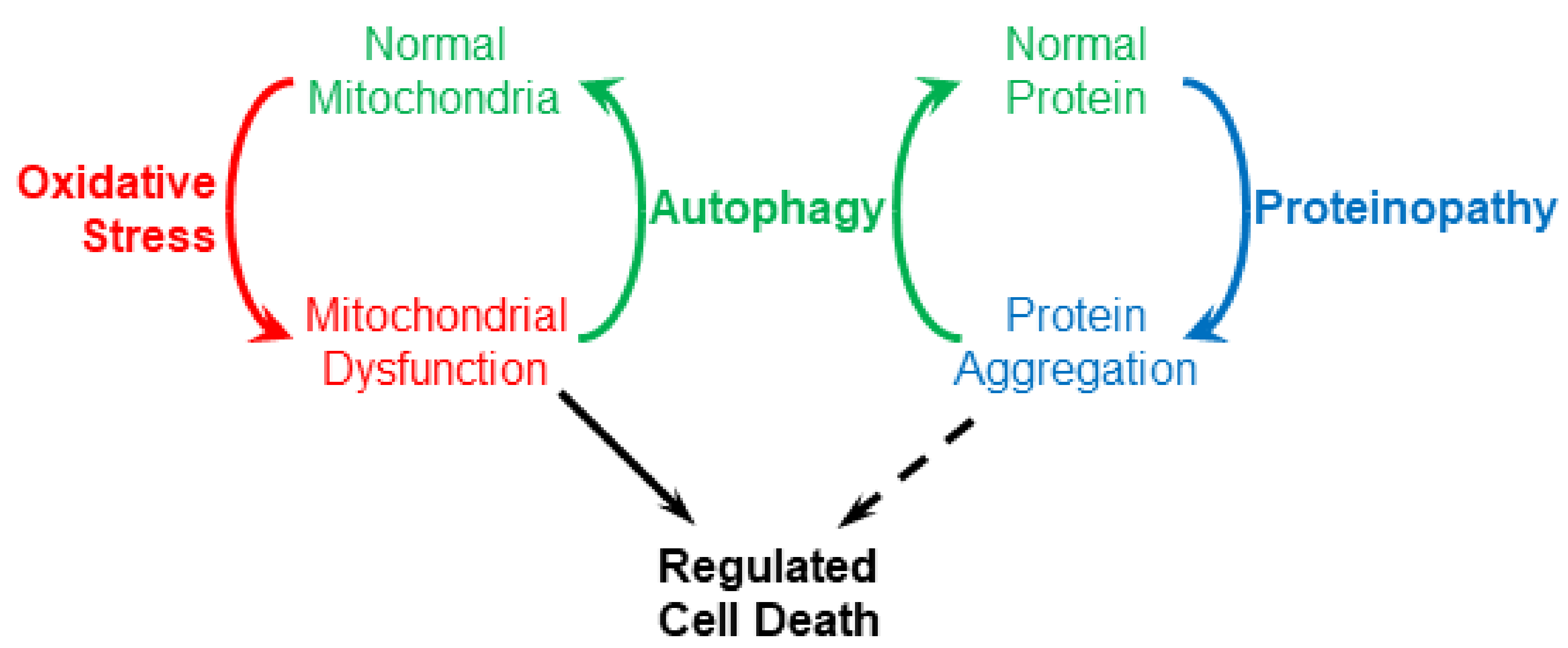 Cells 08 00059 g001 Cells 08 00059 g001