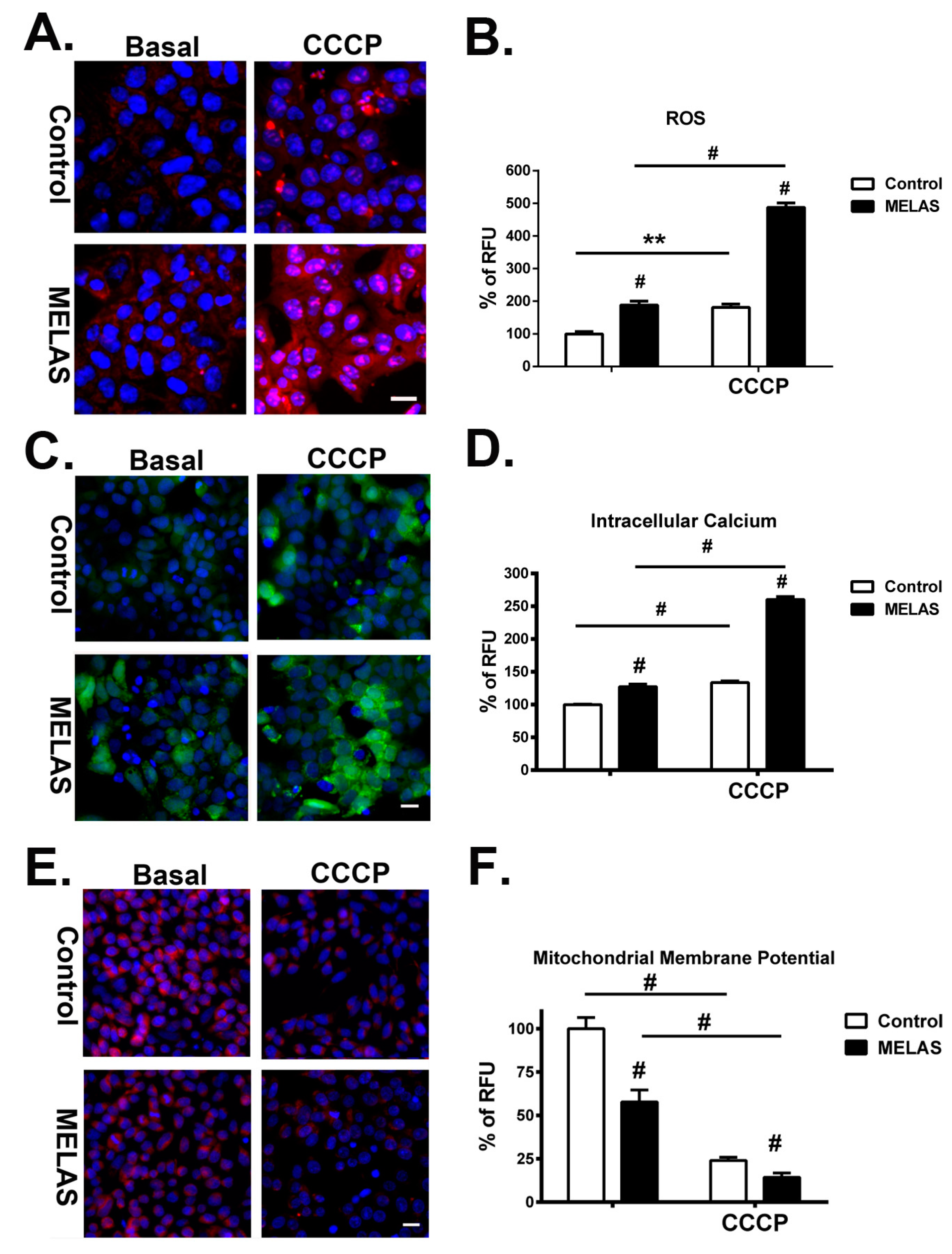 Cells 08 00065 g003 Cells 08 00065 g003