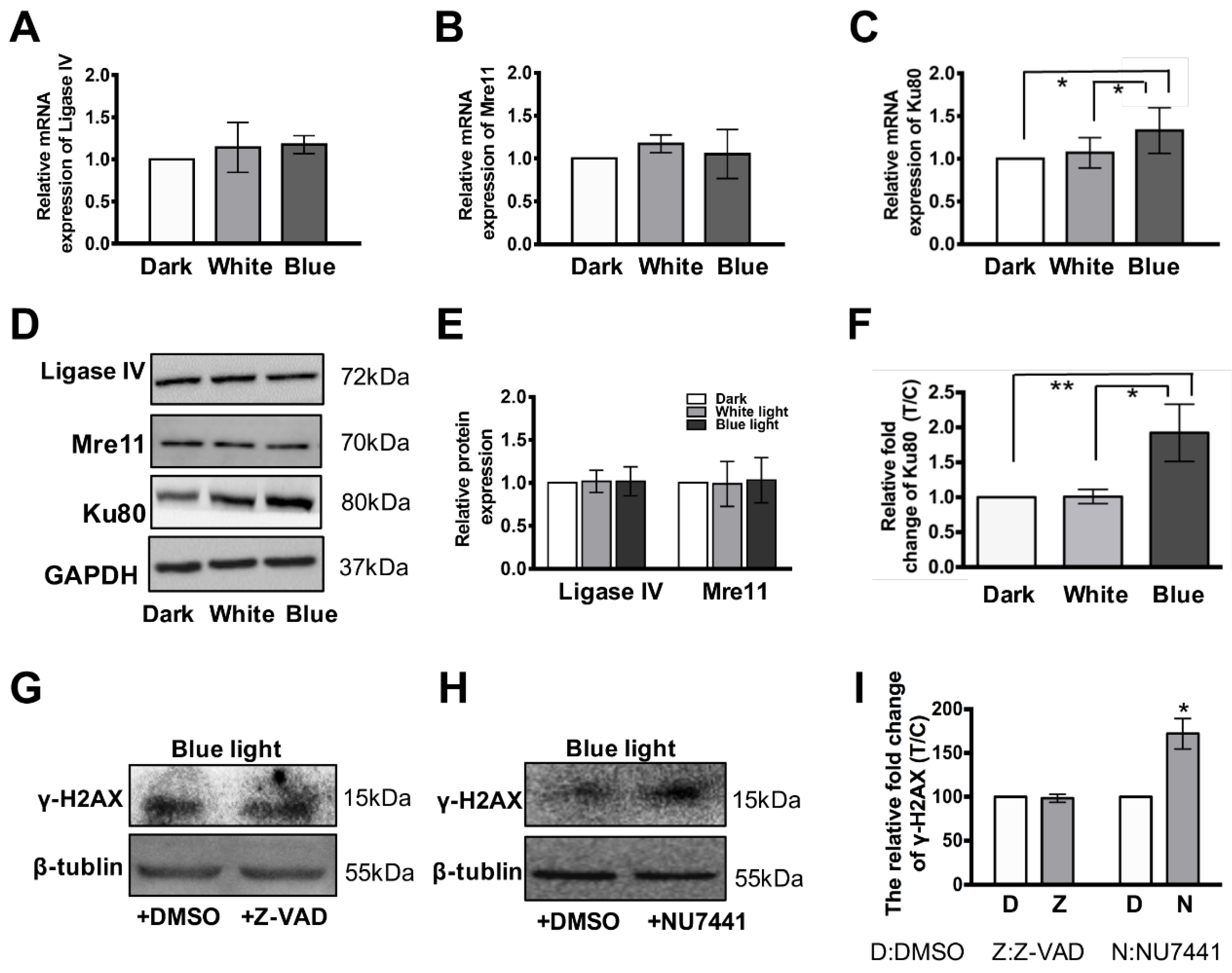 Cells 08 00068 g004