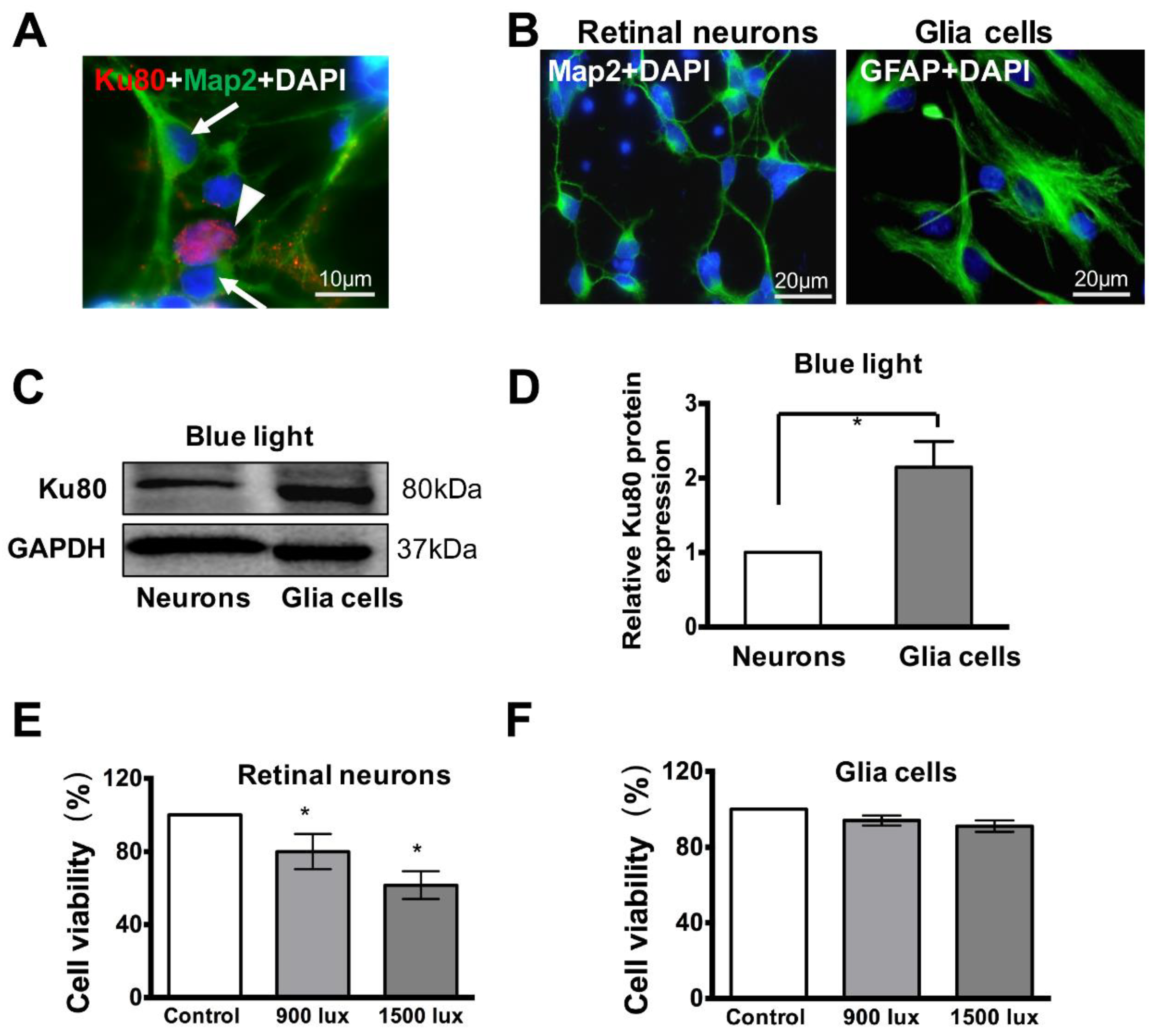 Cells 08 00068 g005