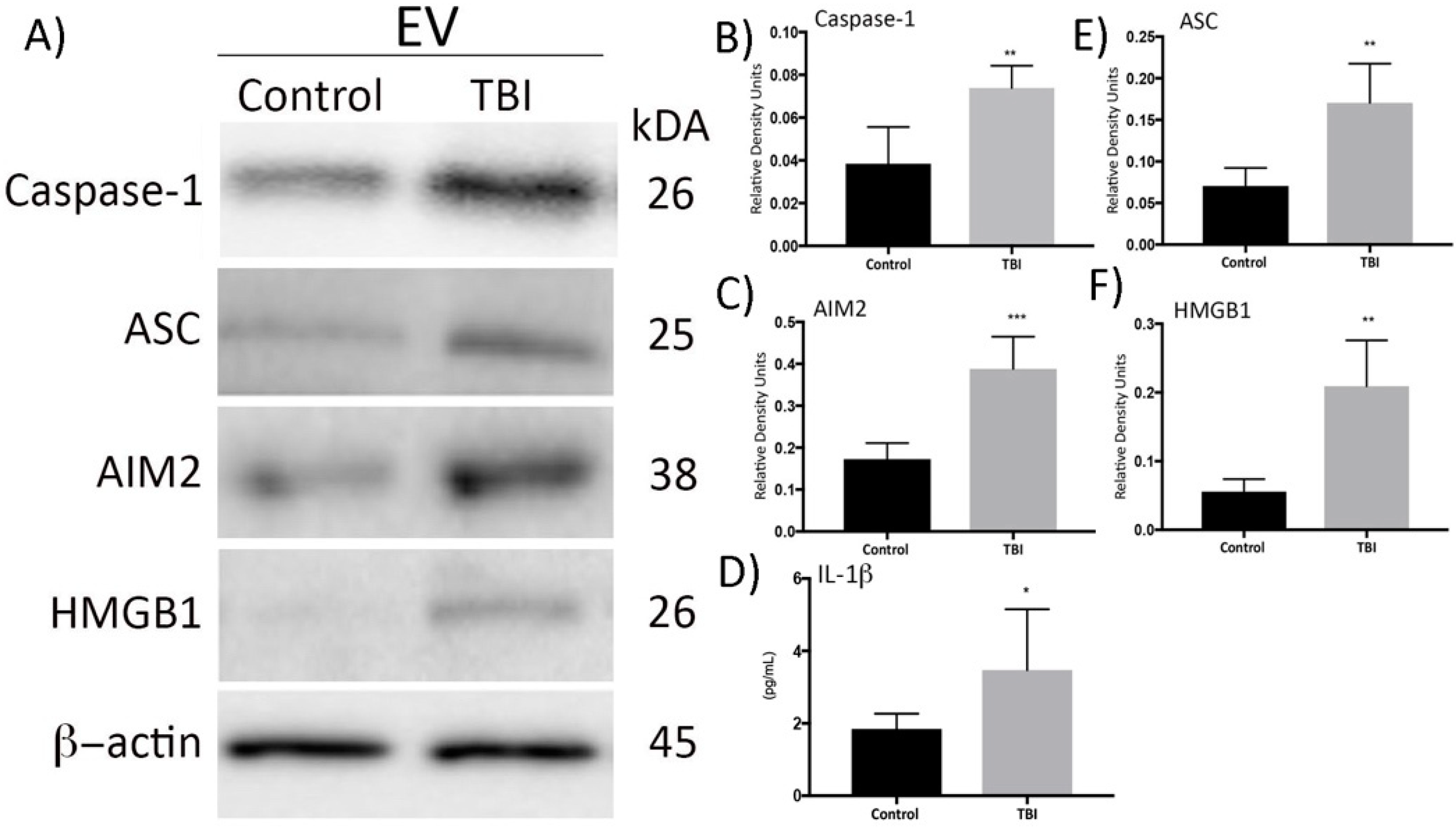 Cells 08 00069 g005 Cells 08 00069 g005