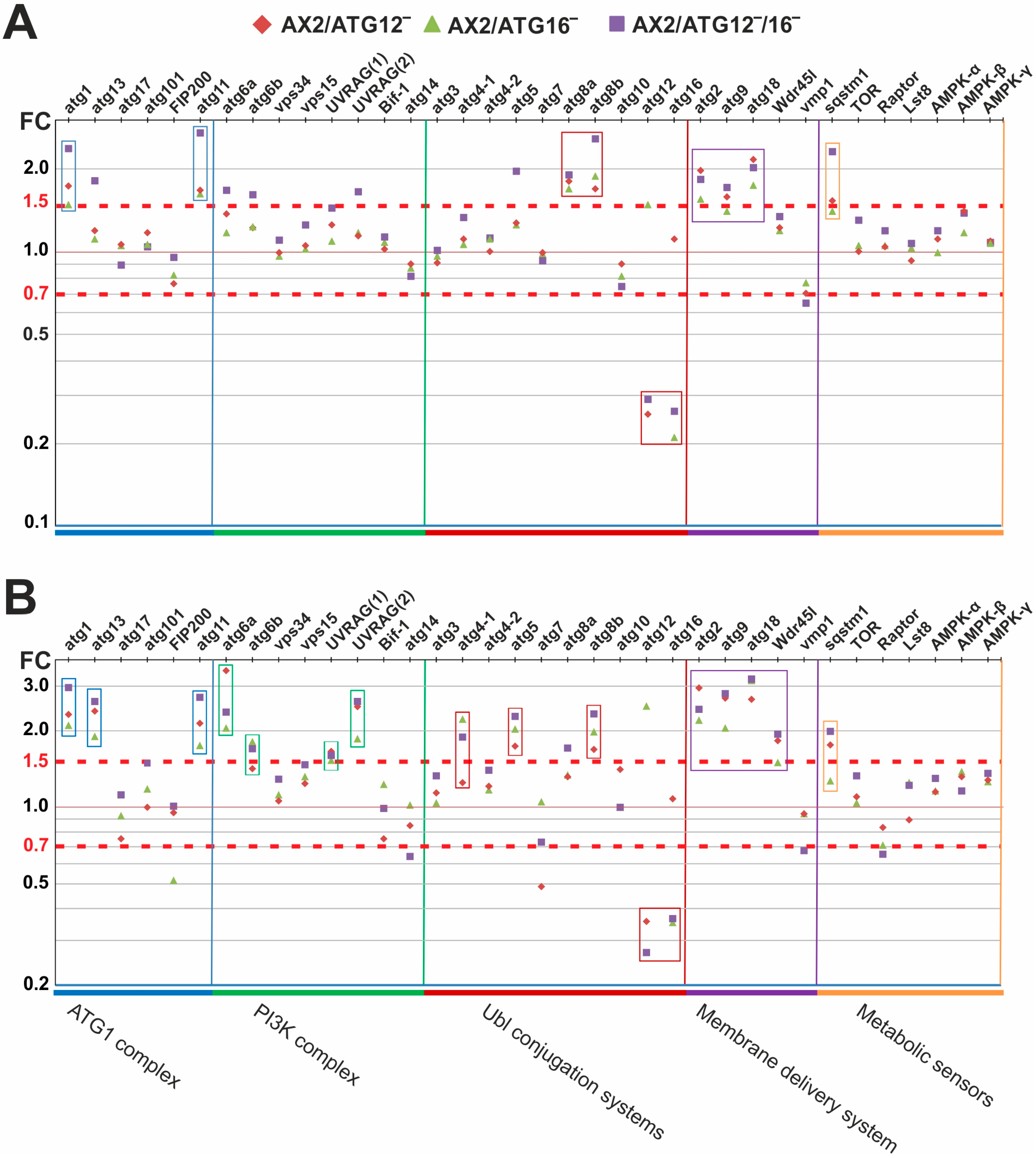 Cells 08 00072 g005 Cells 08 00072 g005
