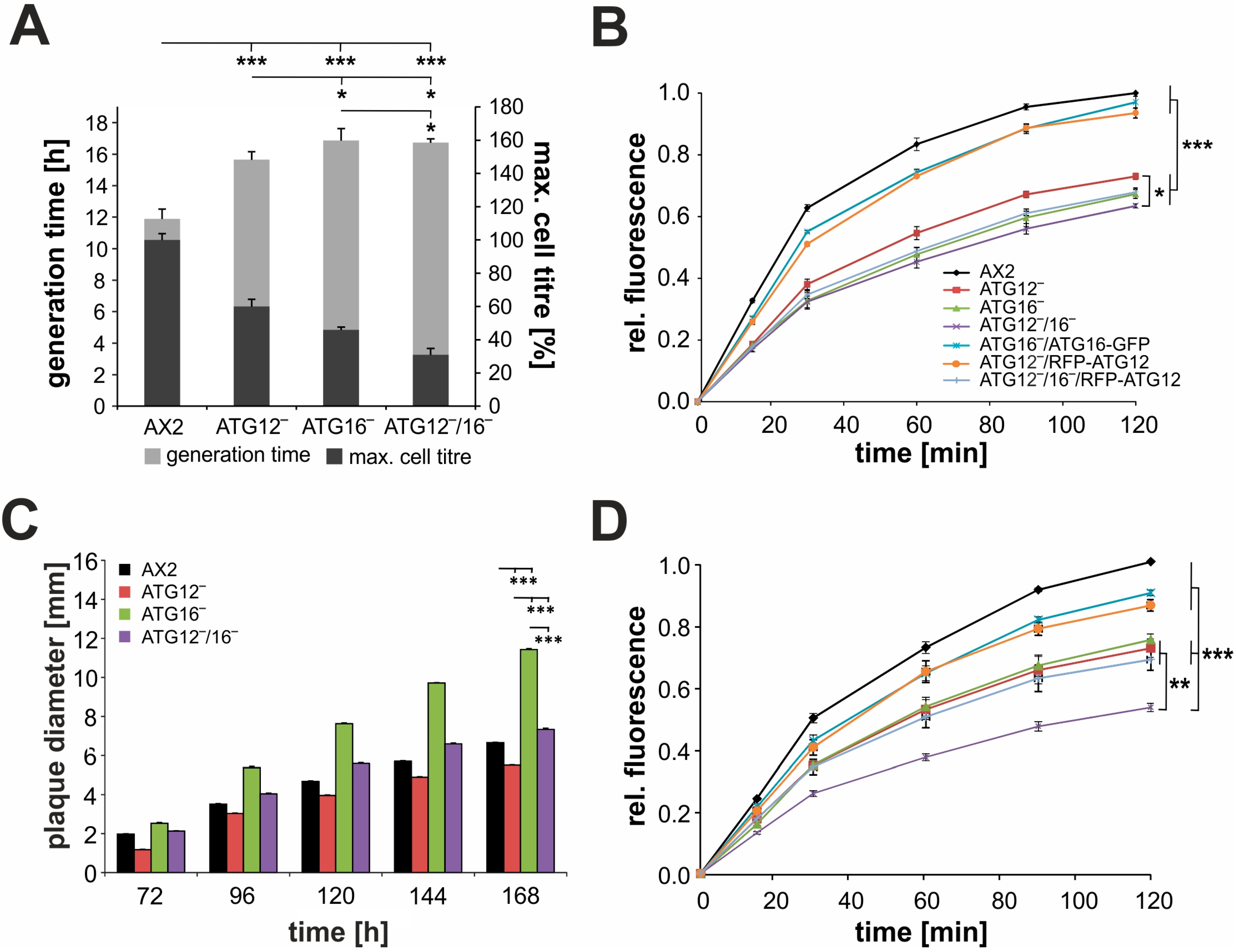 Cells 08 00072 g006 Cells 08 00072 g006