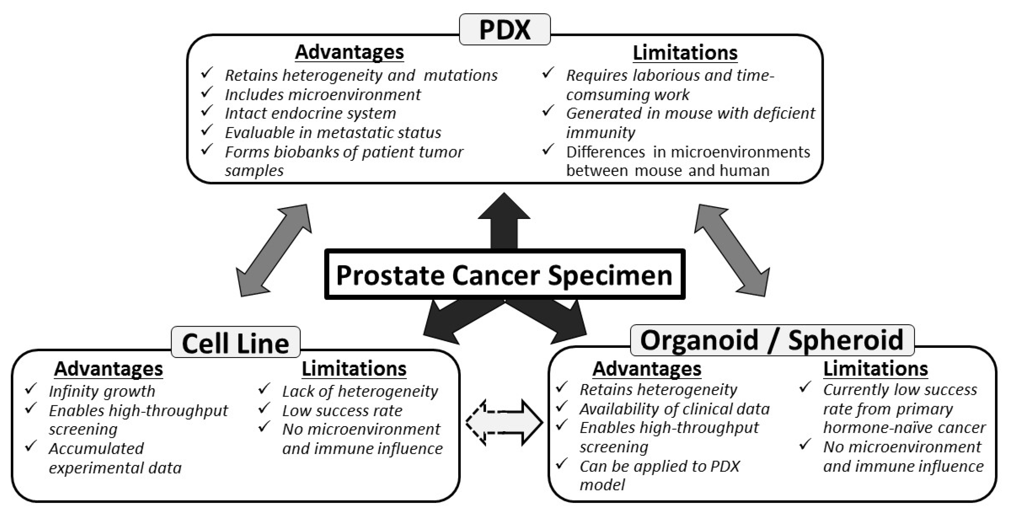 Prostatitis és szteroidok