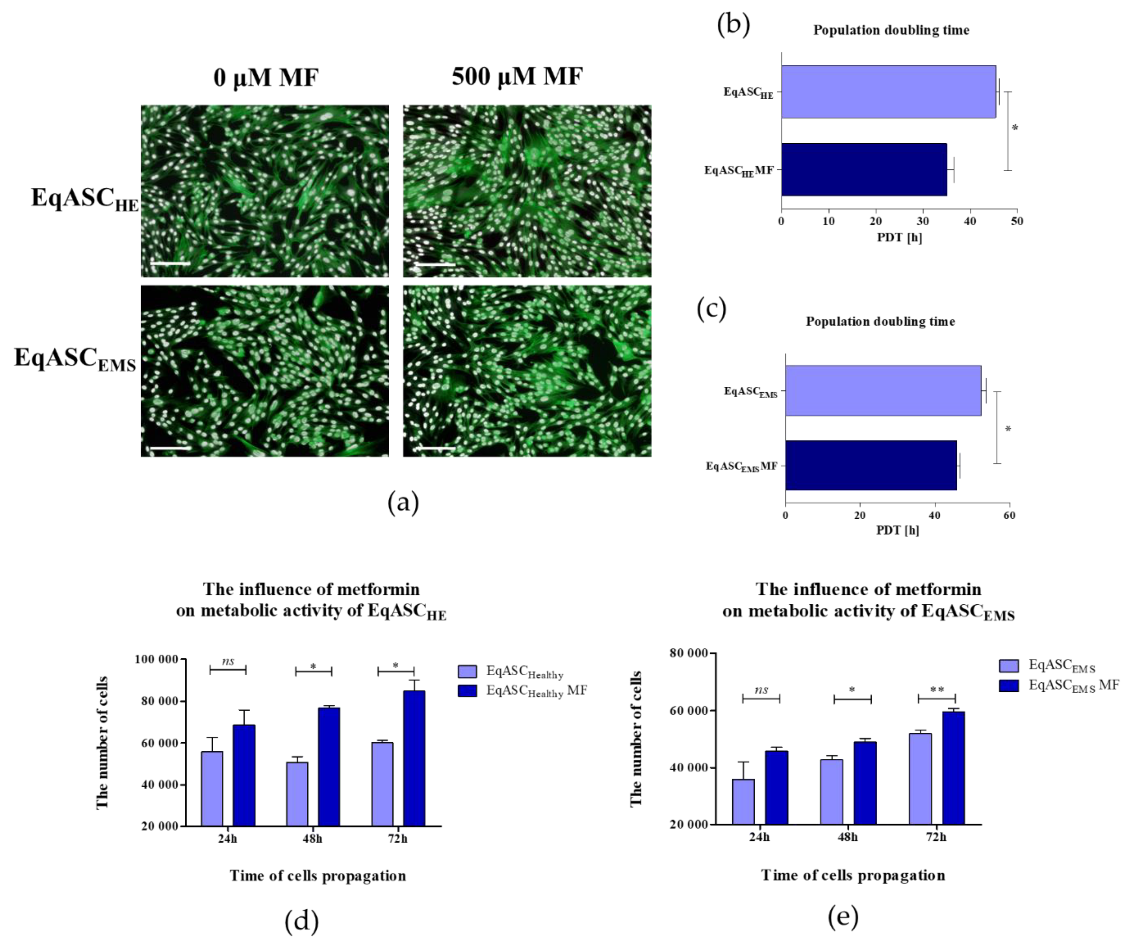 Cells 08 00080 g001 Cells 08 00080 g001