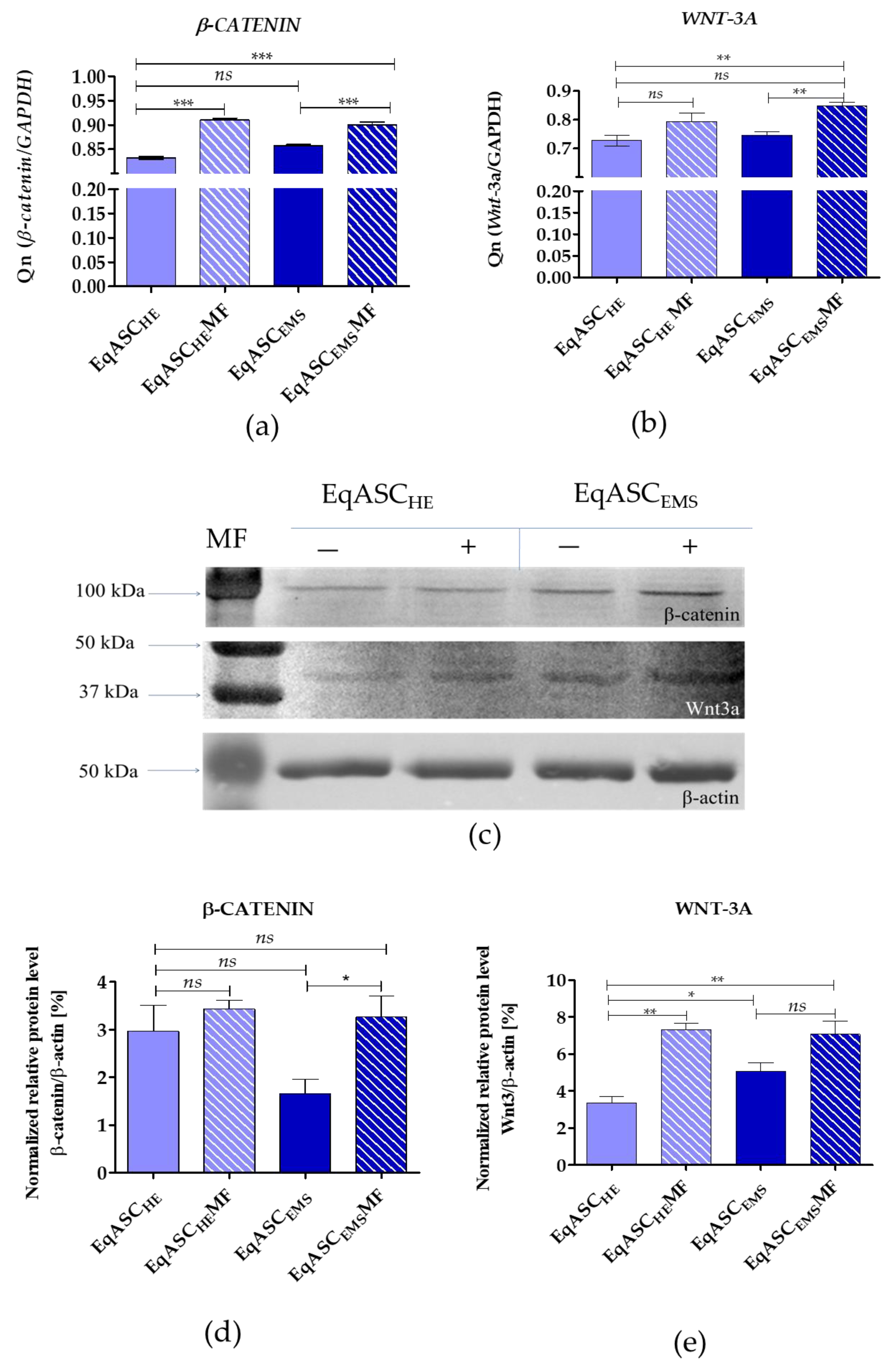 Cells 08 00080 g005 Cells 08 00080 g005
