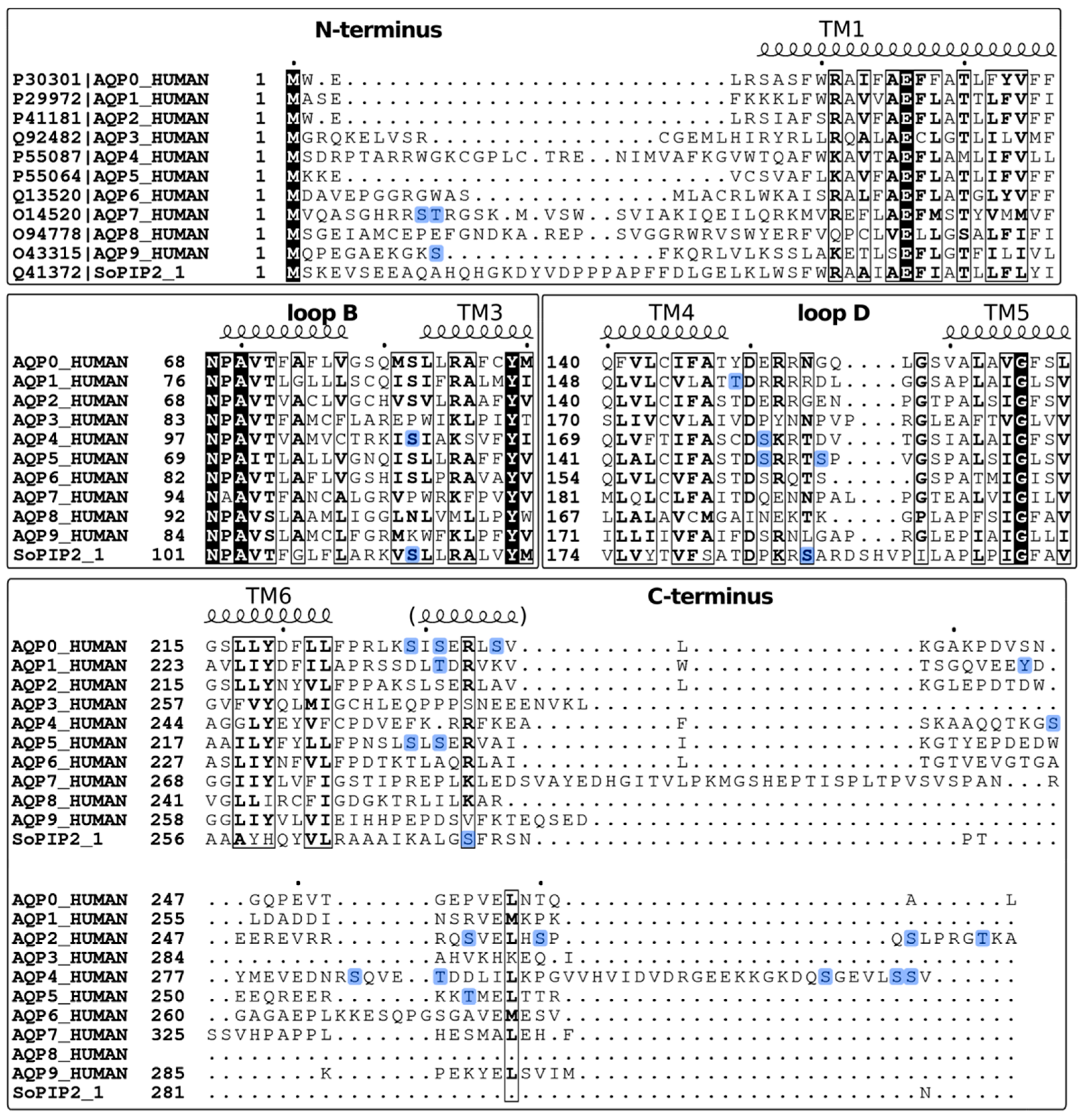 Cells 08 00082 g003 Cells 08 00082 g003
