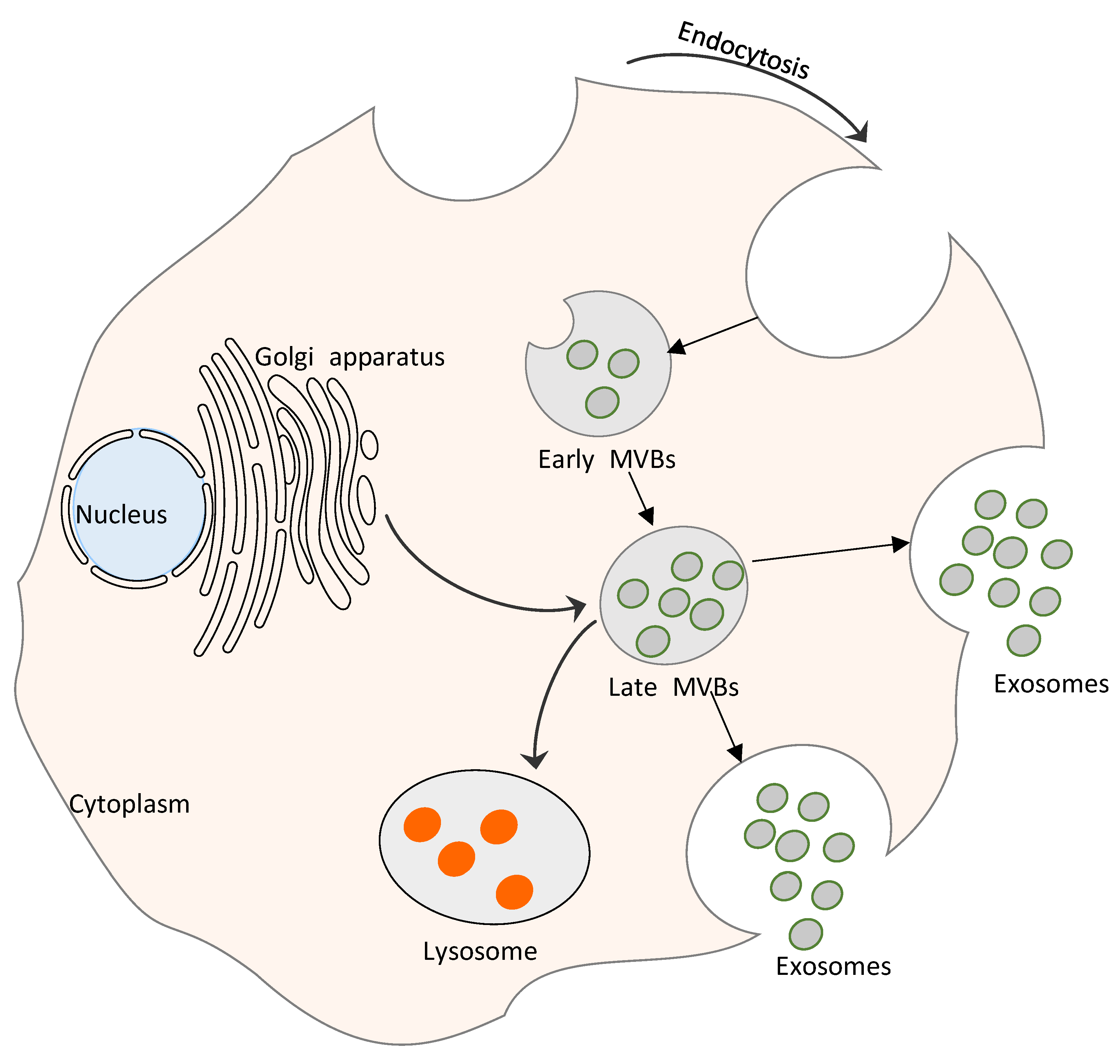 Cells 08 00099 g001 Cells 08 00099 g001