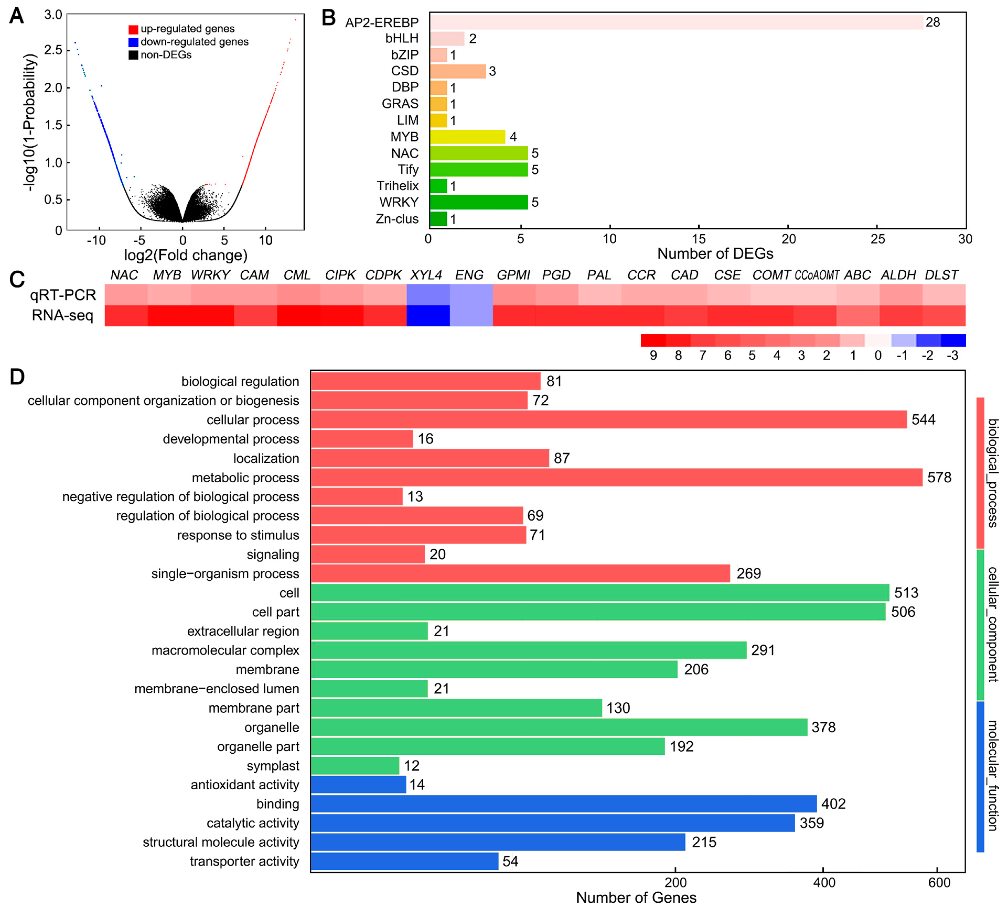 Cells 08 00102 g002 Cells 08 00102 g002