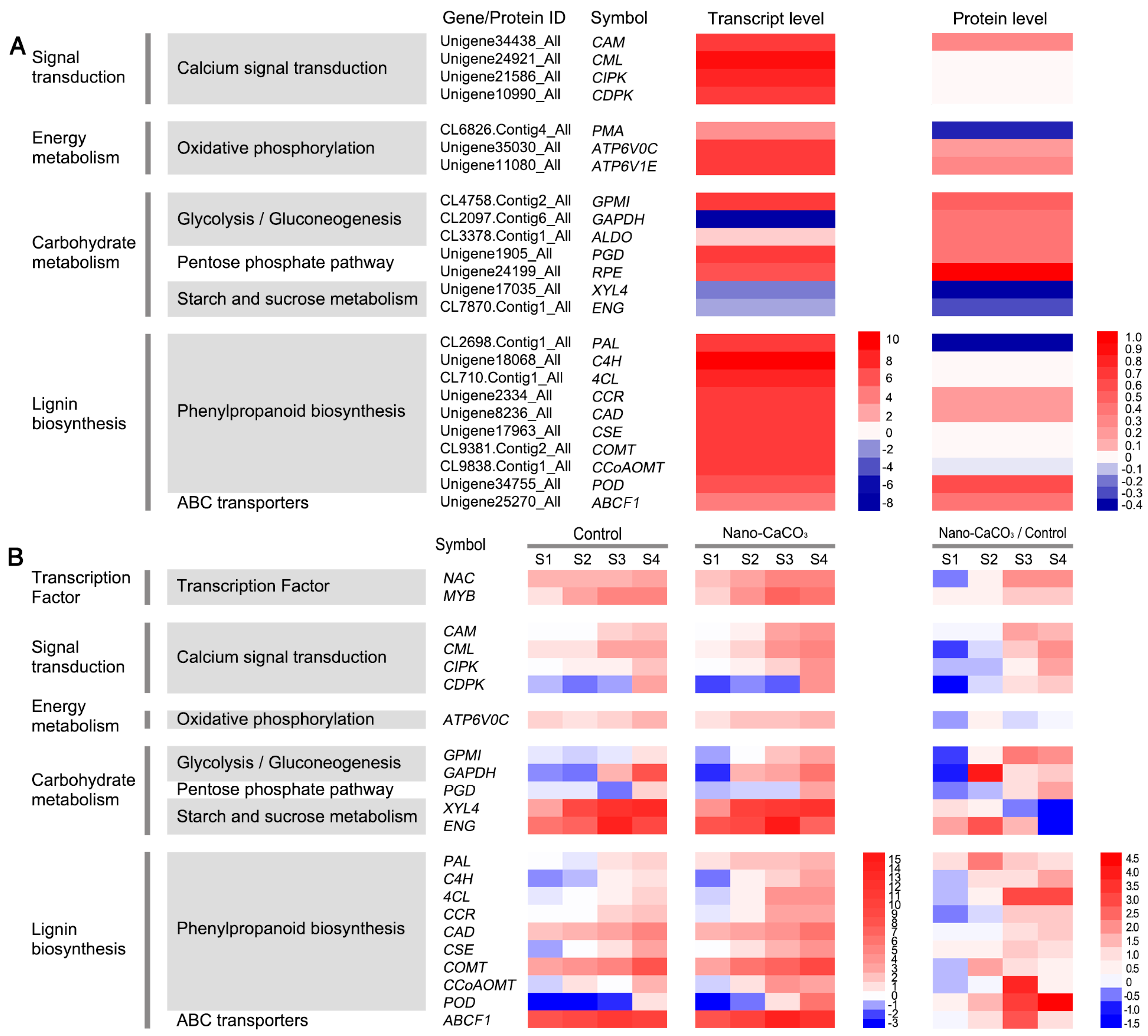 Cells 08 00102 g004 Cells 08 00102 g004