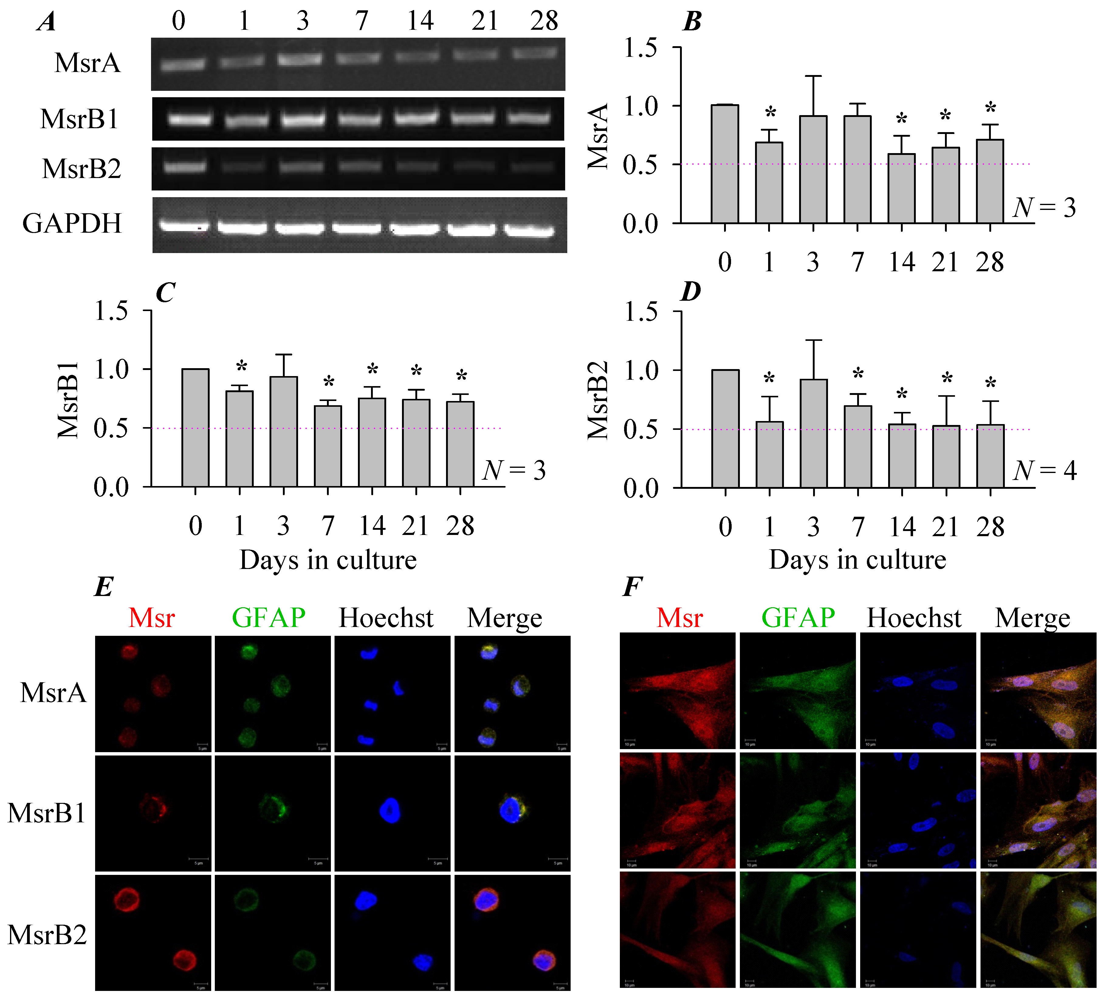 Cells 08 00109 g001 550