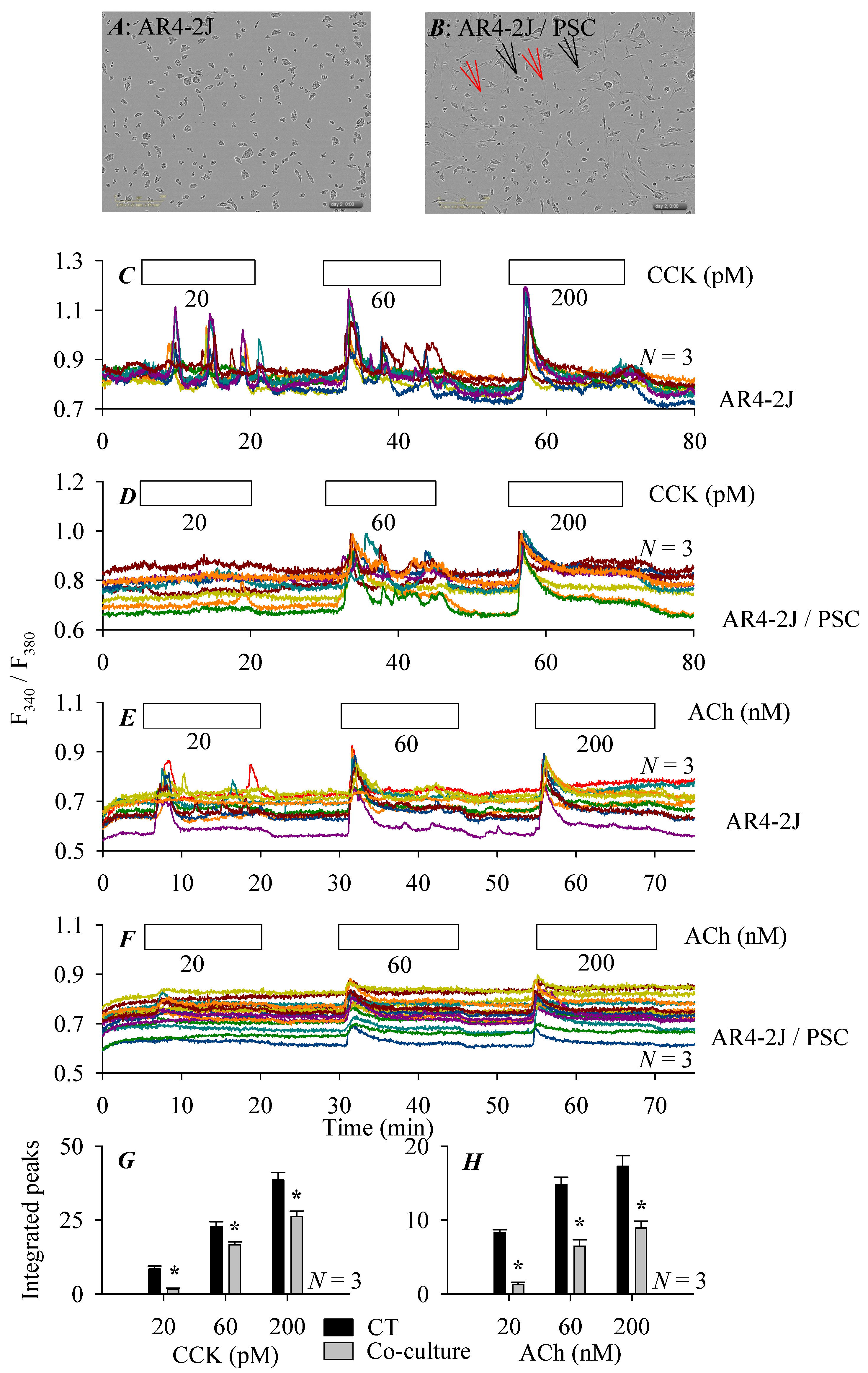Cells 08 00109 g005 550