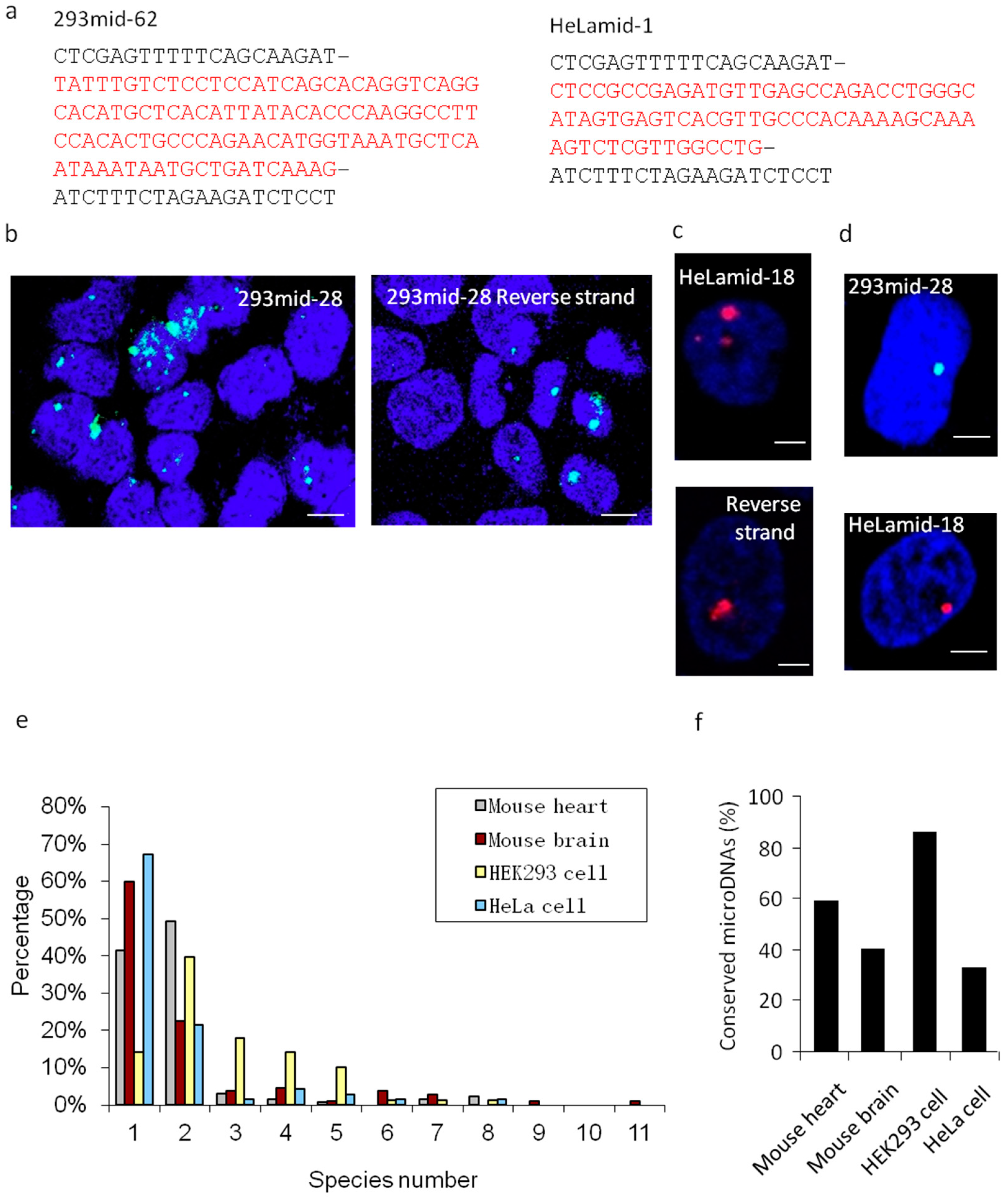 Cells 08 00111 g004 Cells 08 00111 g004