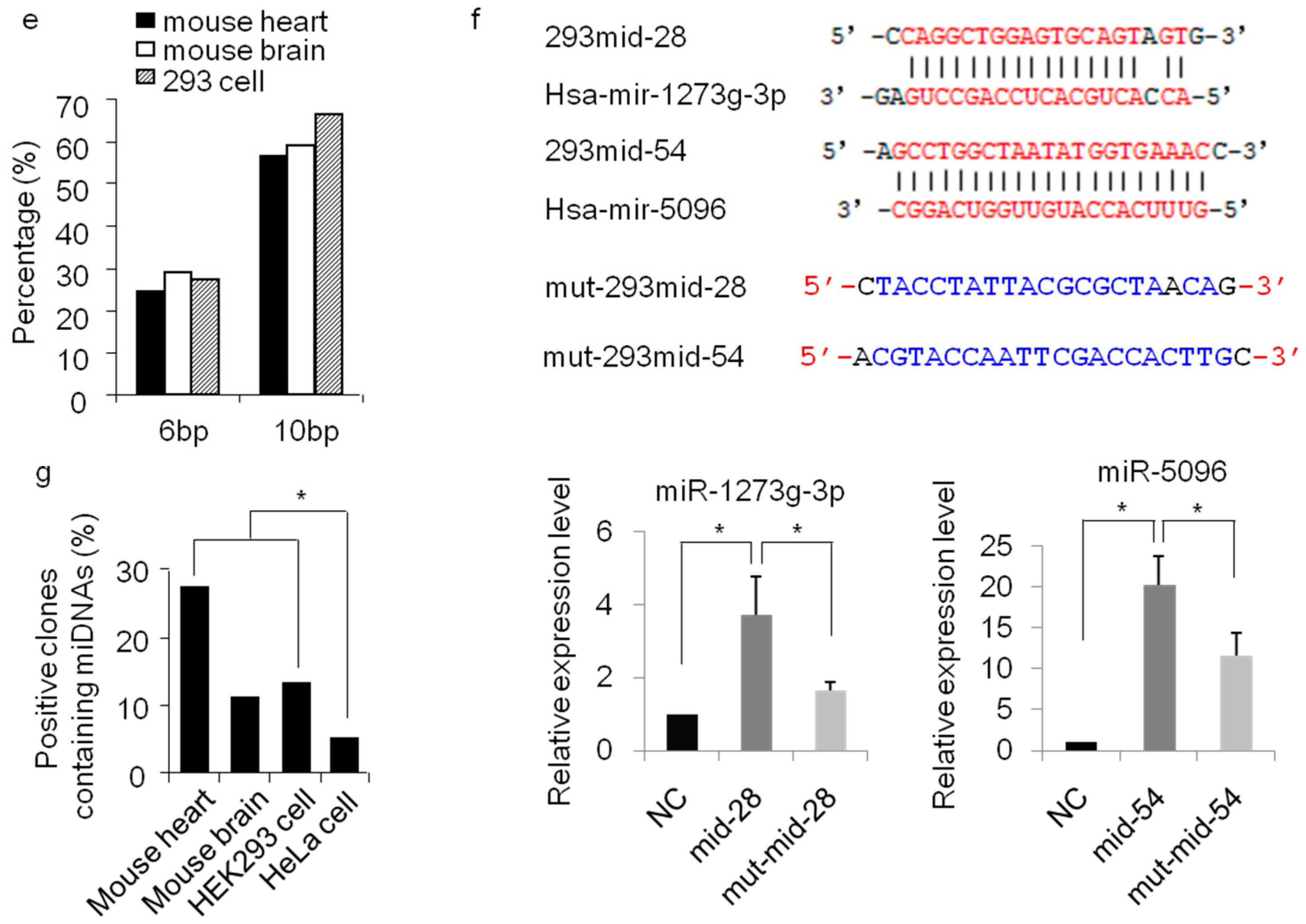 Cells 08 00111 g005c Cells 08 00111 g005c
