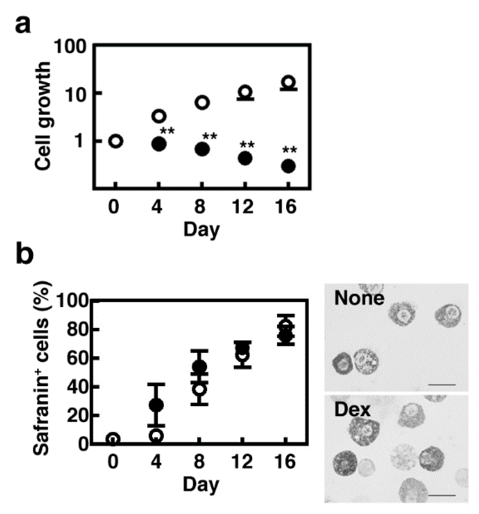 Cells 08 00112 g001 Cells 08 00112 g001