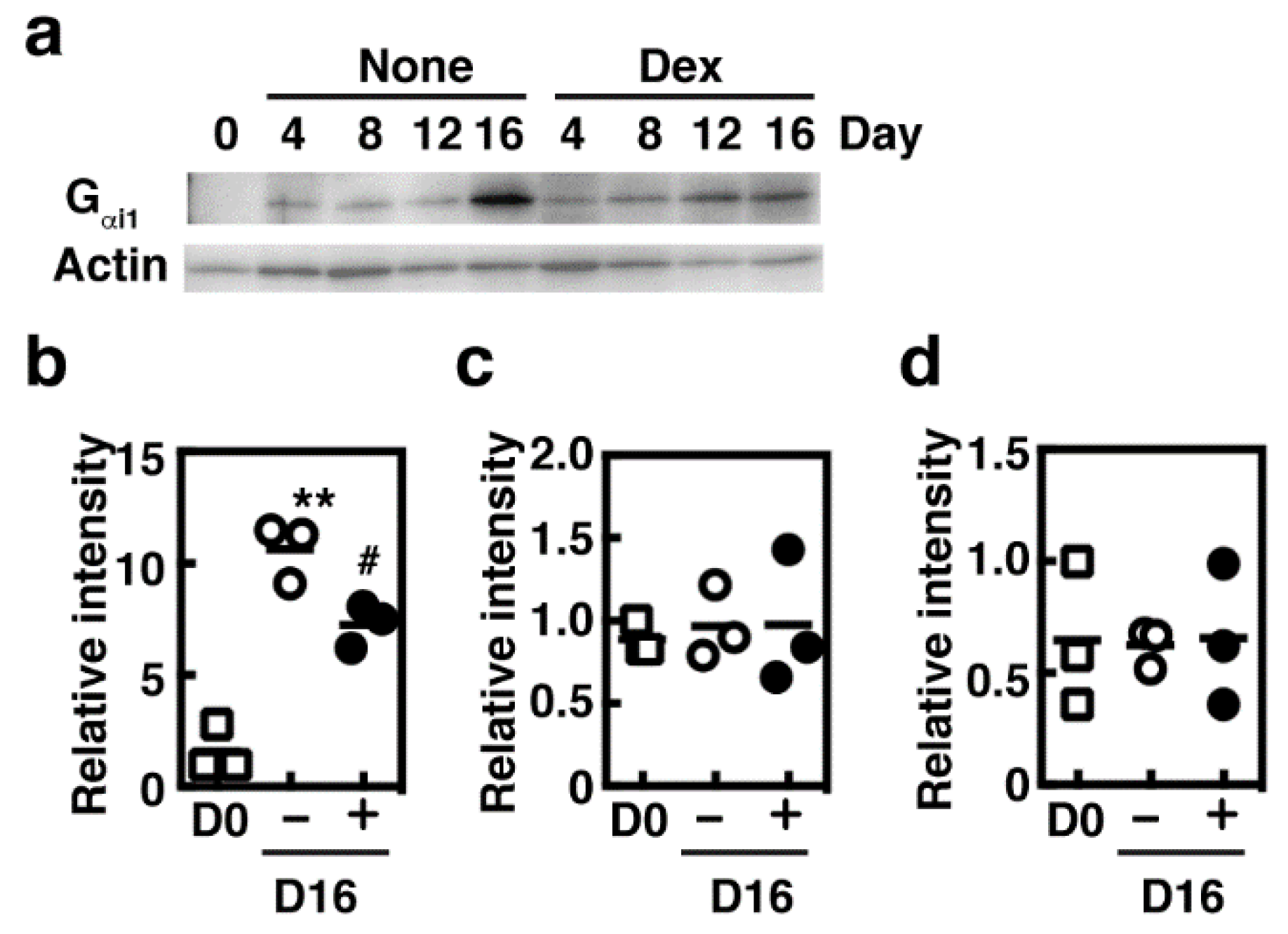 Cells 08 00112 g004 Cells 08 00112 g004