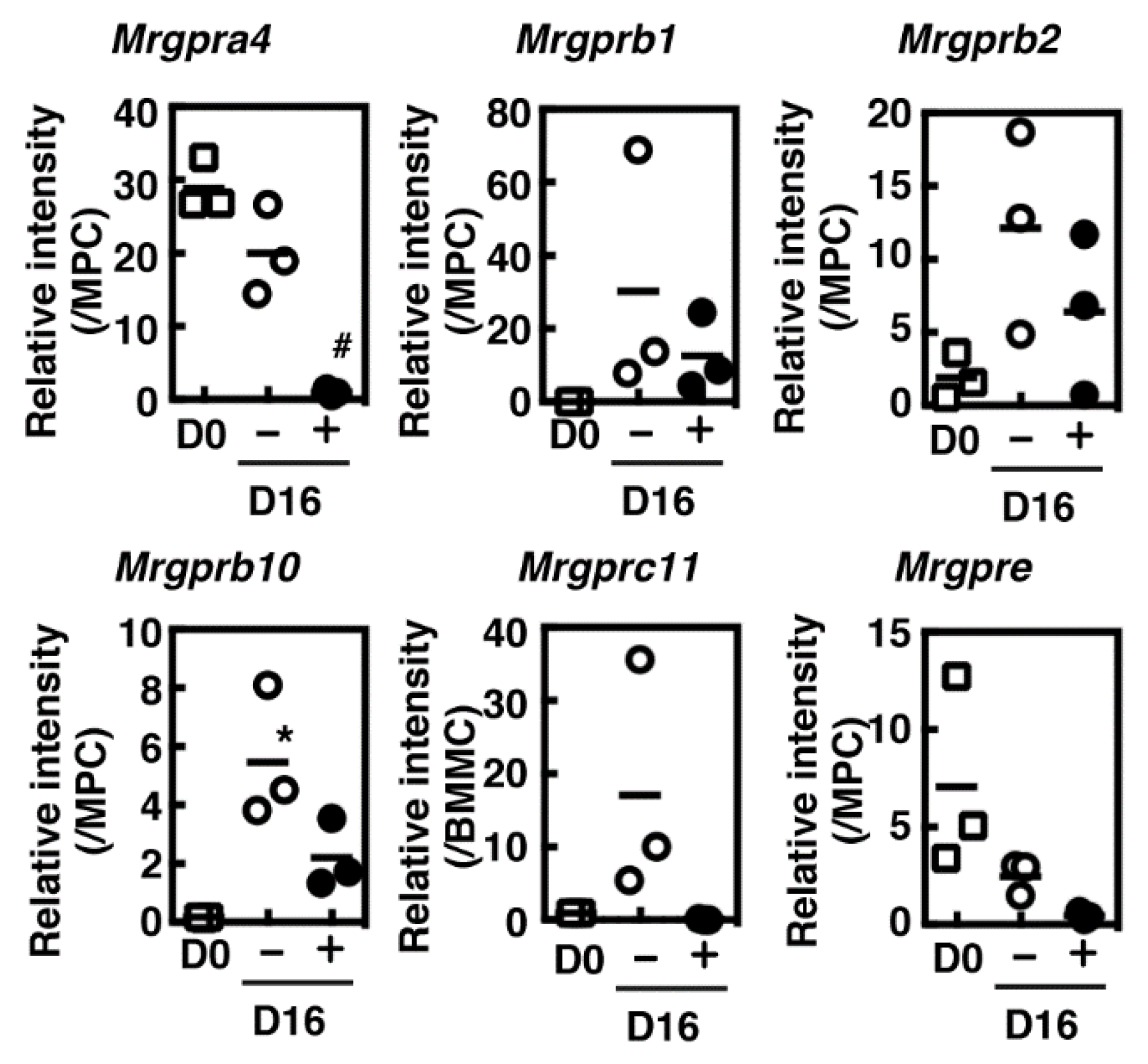 Cells 08 00112 g005 Cells 08 00112 g005