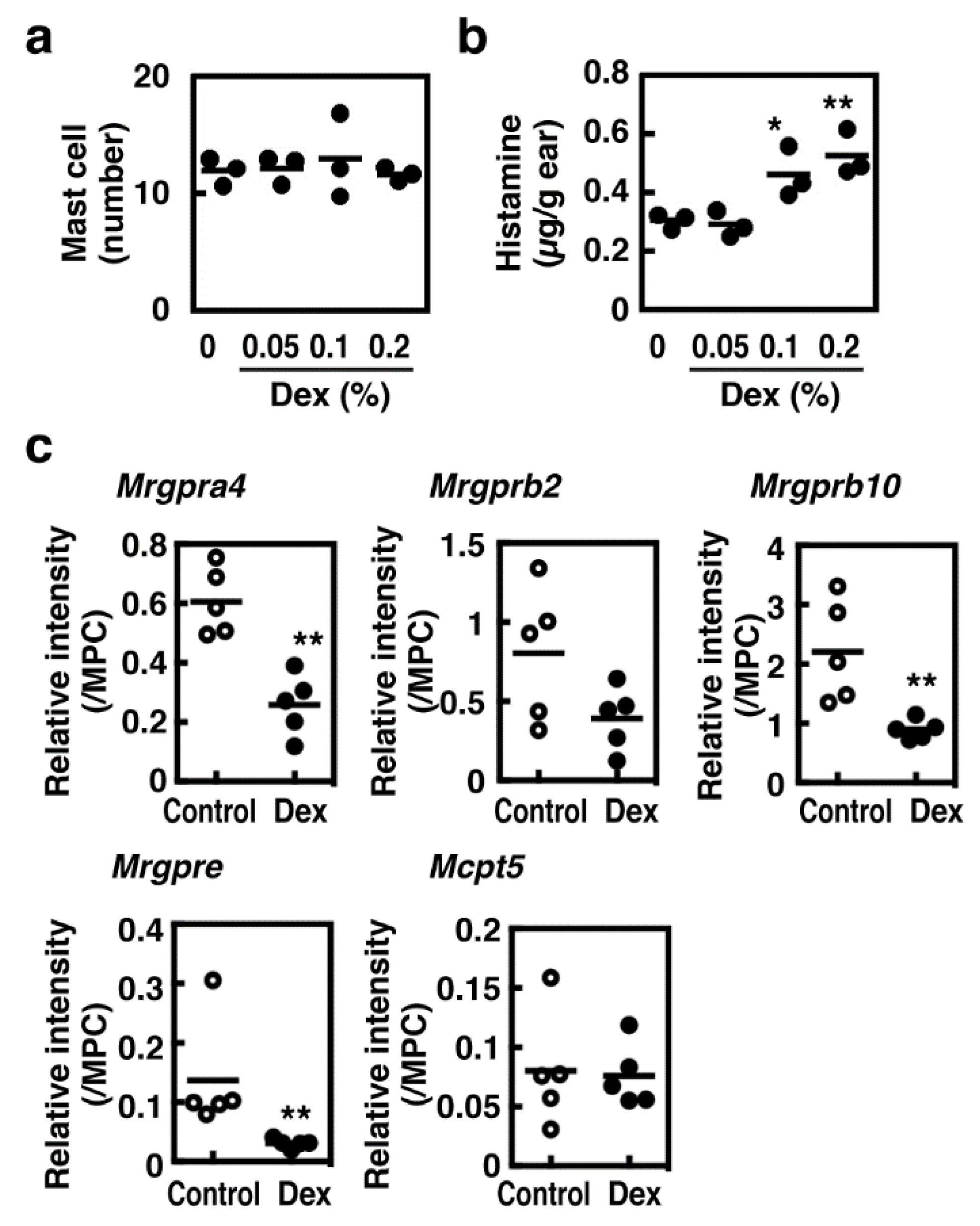 Cells 08 00112 g007 Cells 08 00112 g007