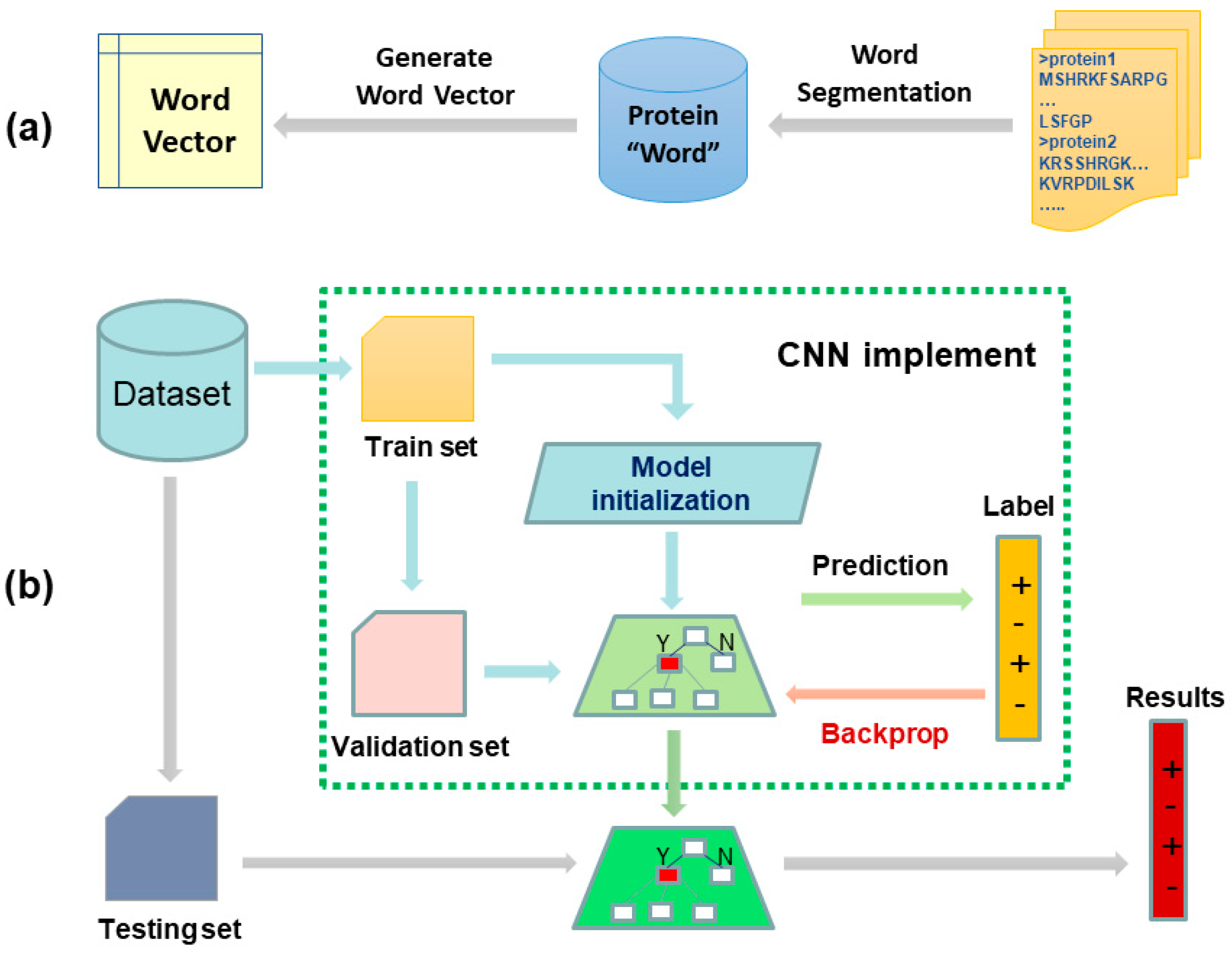 Cells 08 00122 g002 Cells 08 00122 g002