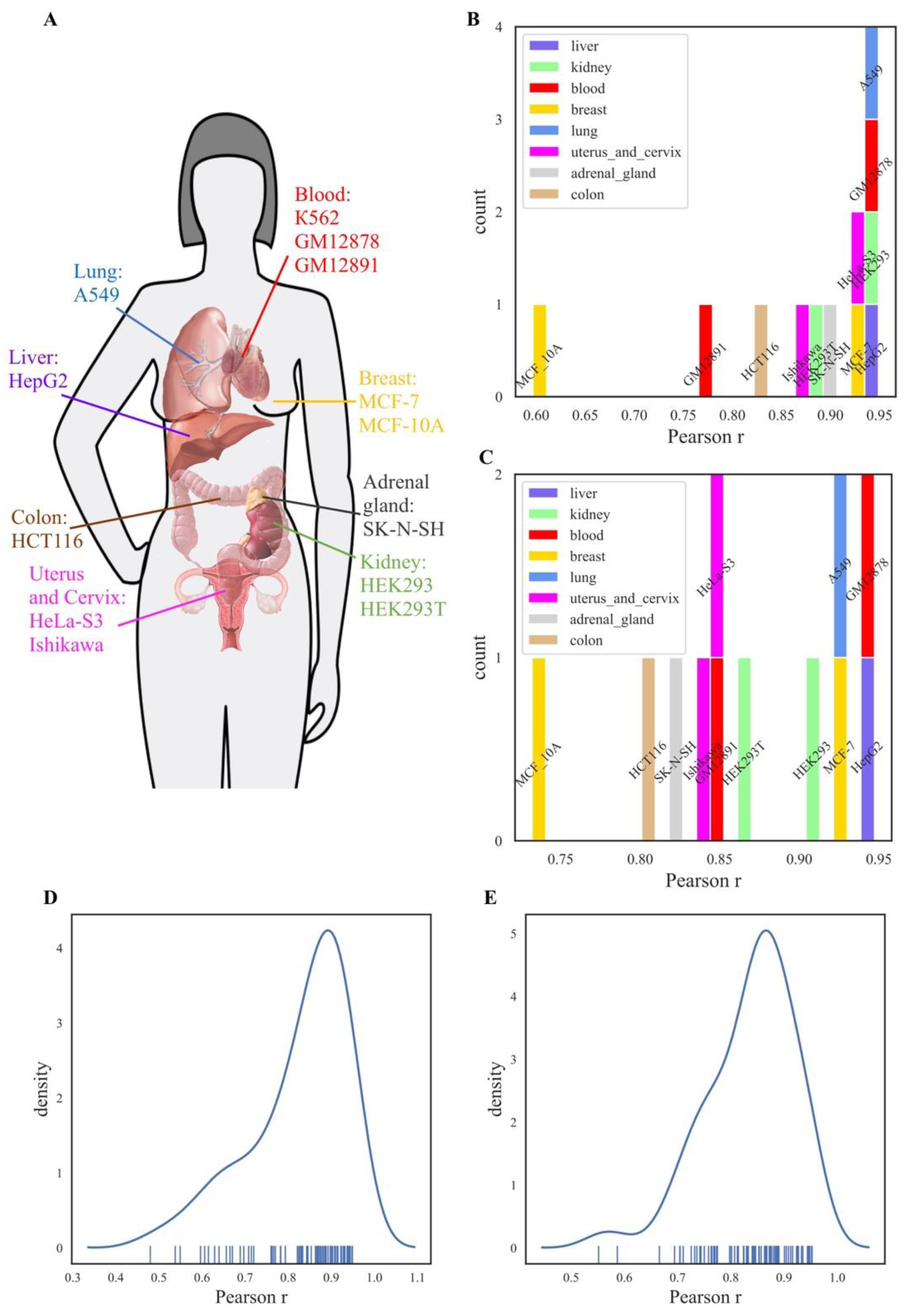Cells 08 00130 g002 550