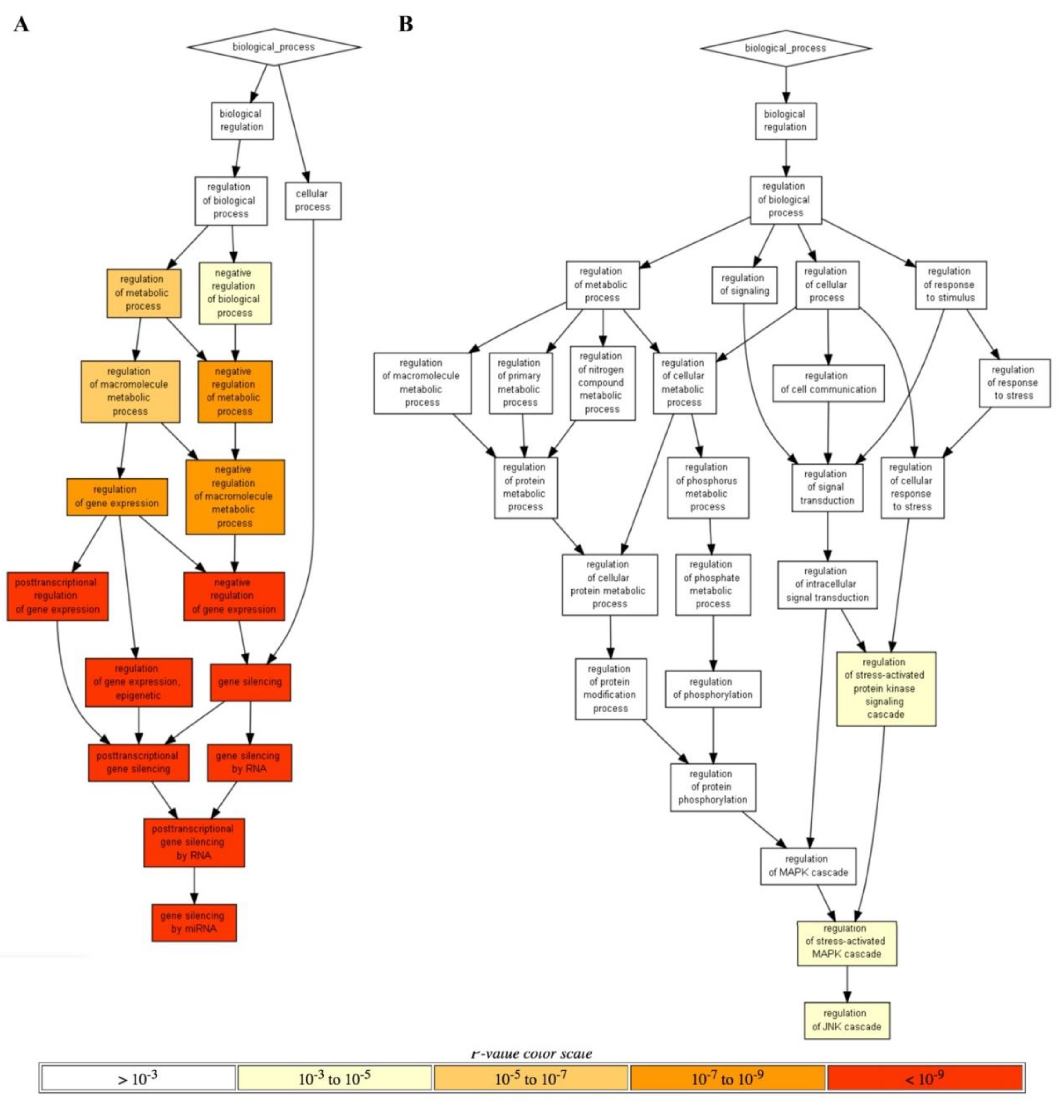 Cells 08 00130 g005 550